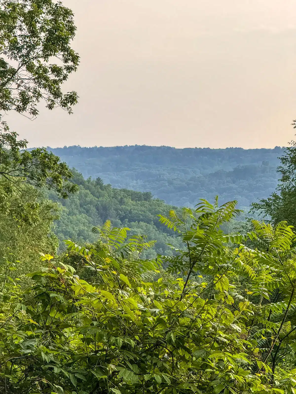 overlook just before sunset with soft pinkish sky and bright green trees and hill in distance,