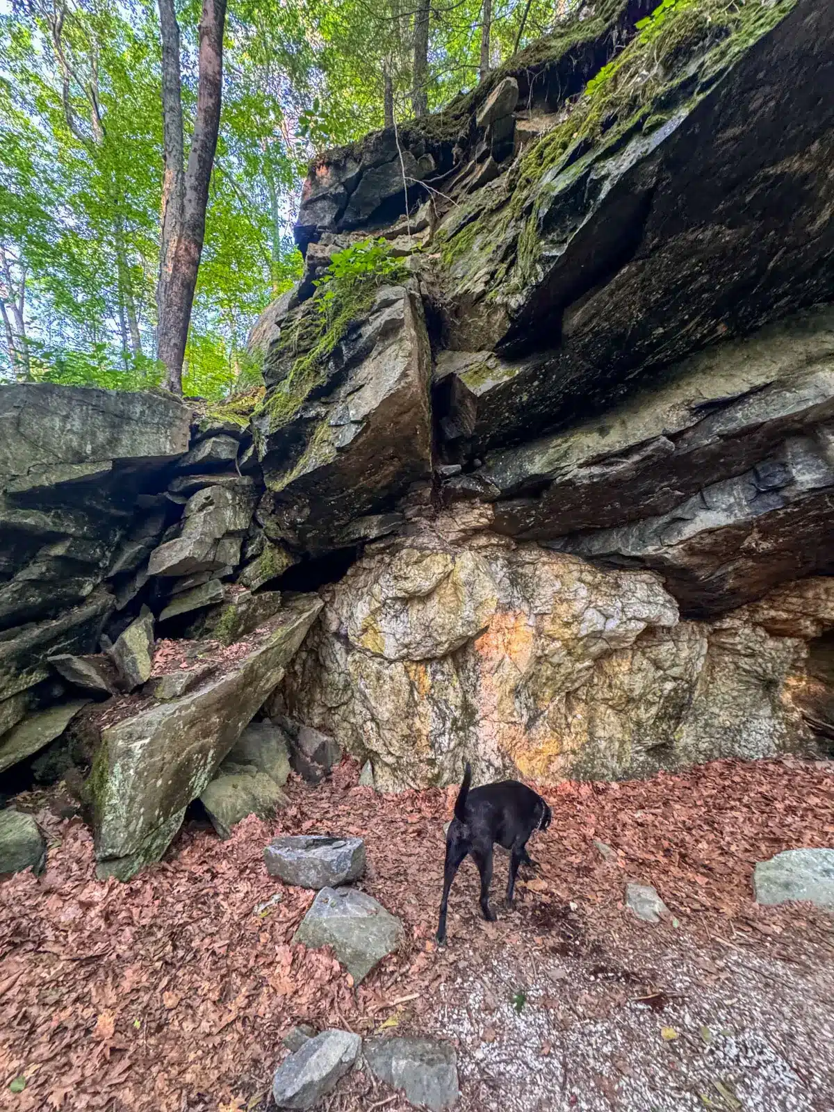 quartz mine in washington depot connecicut with big rocks stacked and white quartz on the ground surrounded by green trees.