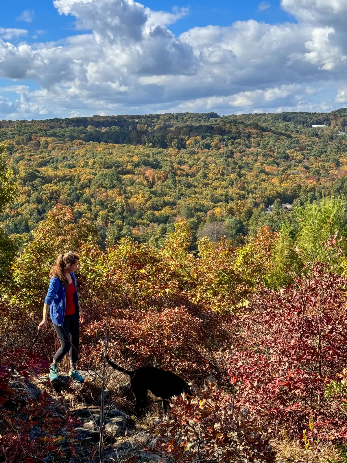 woman in blue hoodie and ponytail hiking at hidden valley preserve in the fall with green and orange tree tops in distance and blue sky white fluffy white clouds.