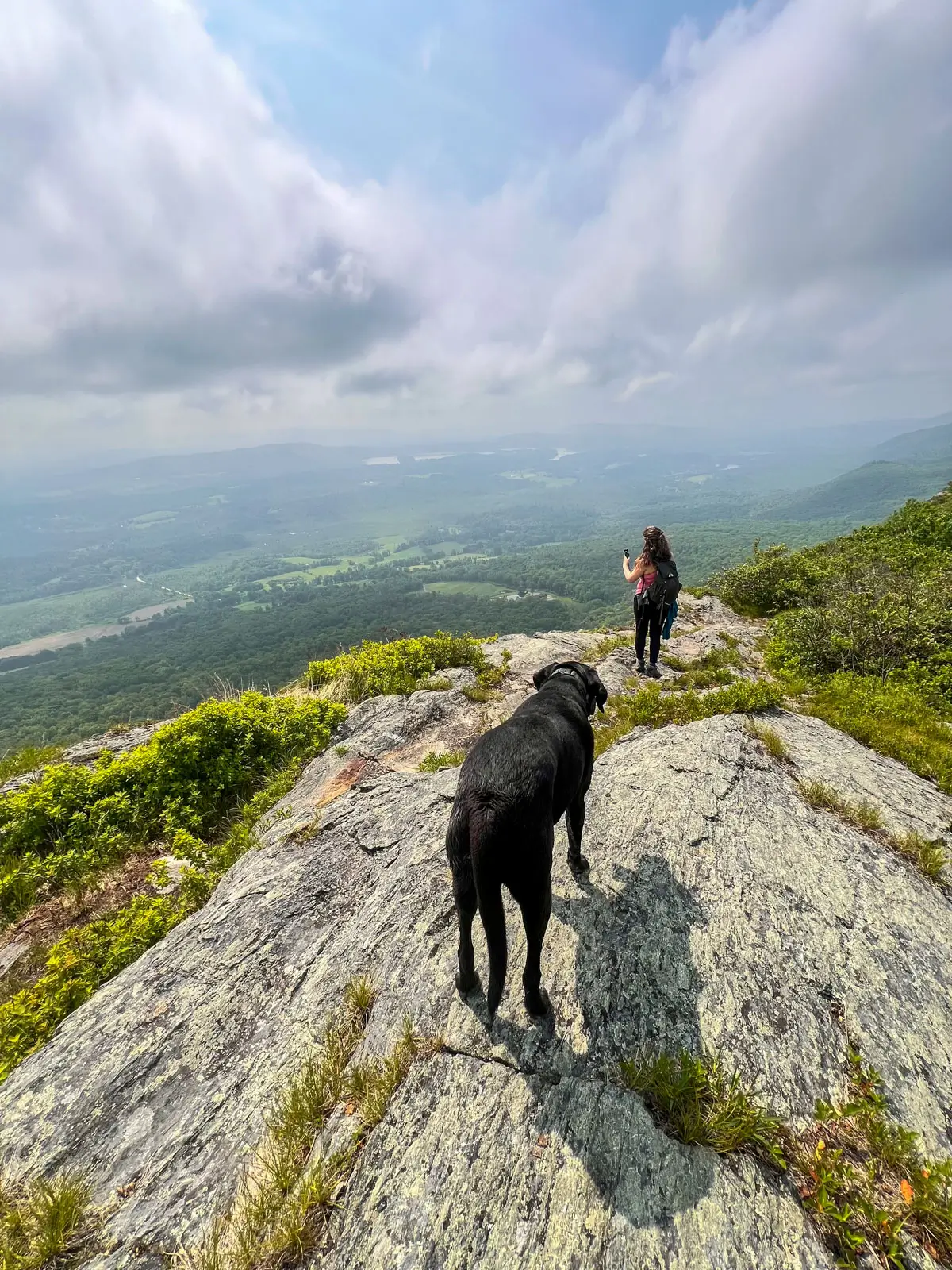woman with pony tail and light pink tank top and blue shorts walking up mount race with brown dog and green hills in background.