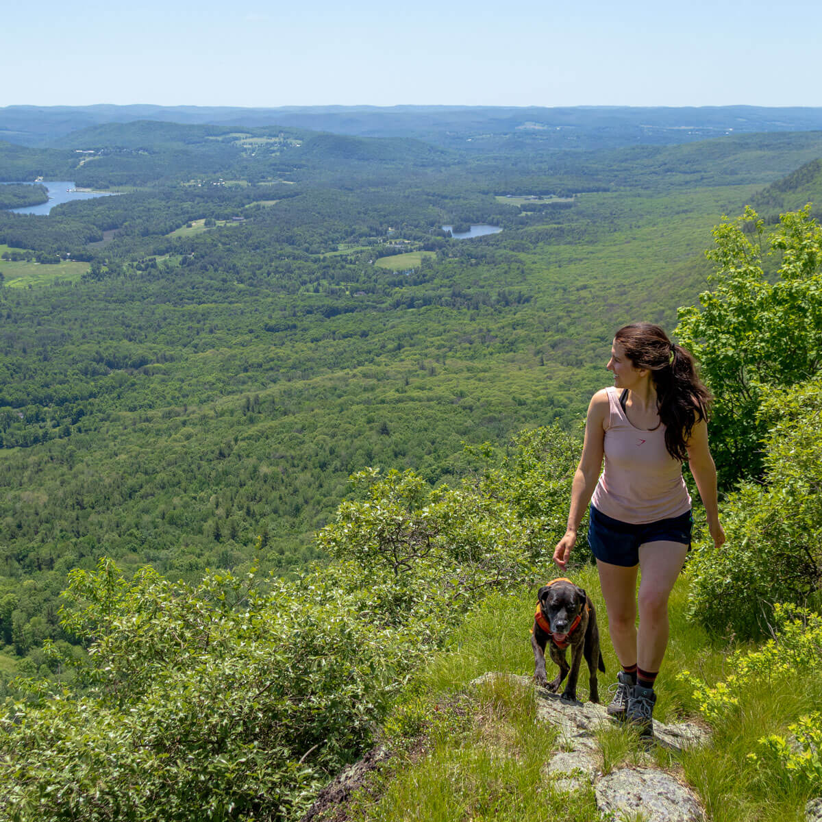 woman with pony tail and light pink tank top and blue shorts walking up mount race with brown dog and green hills in background.