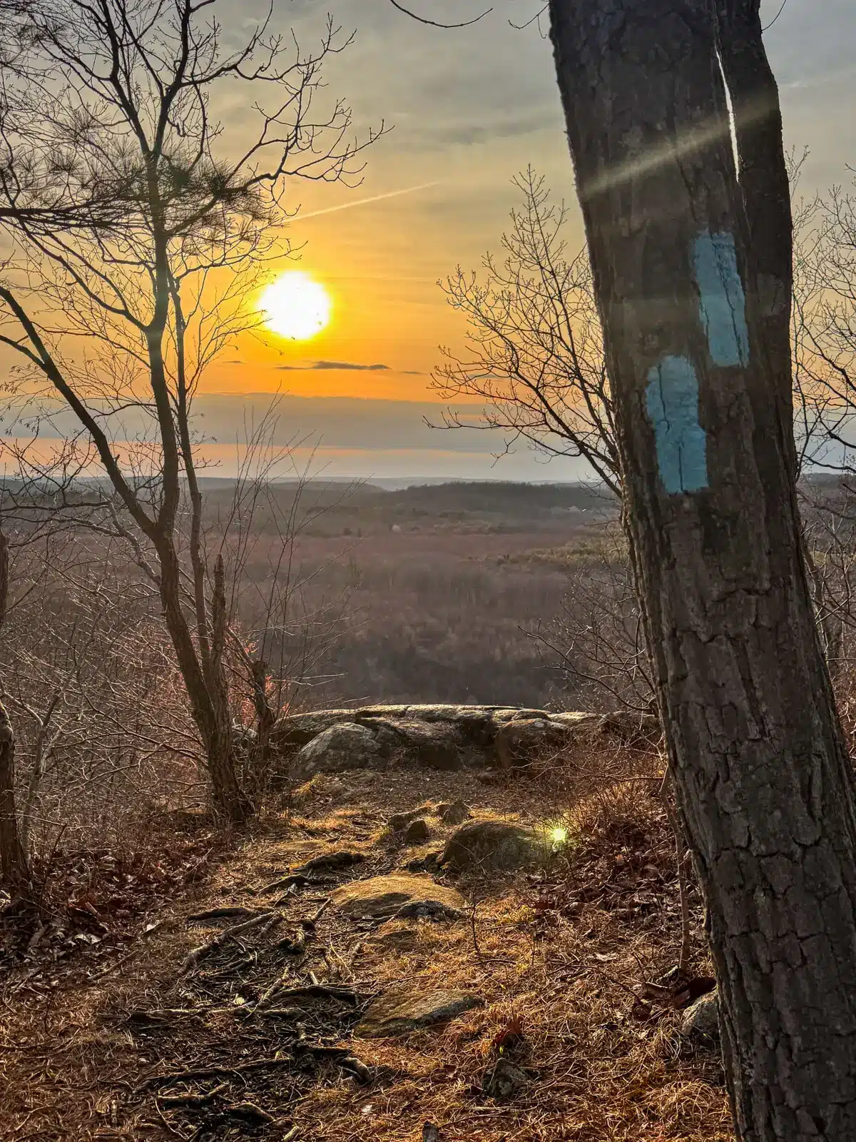 open cliff top surrounded by bare trees with orange sky and golden sun as the sun sets at Mount Sanford in Naugatuck State Forest.
