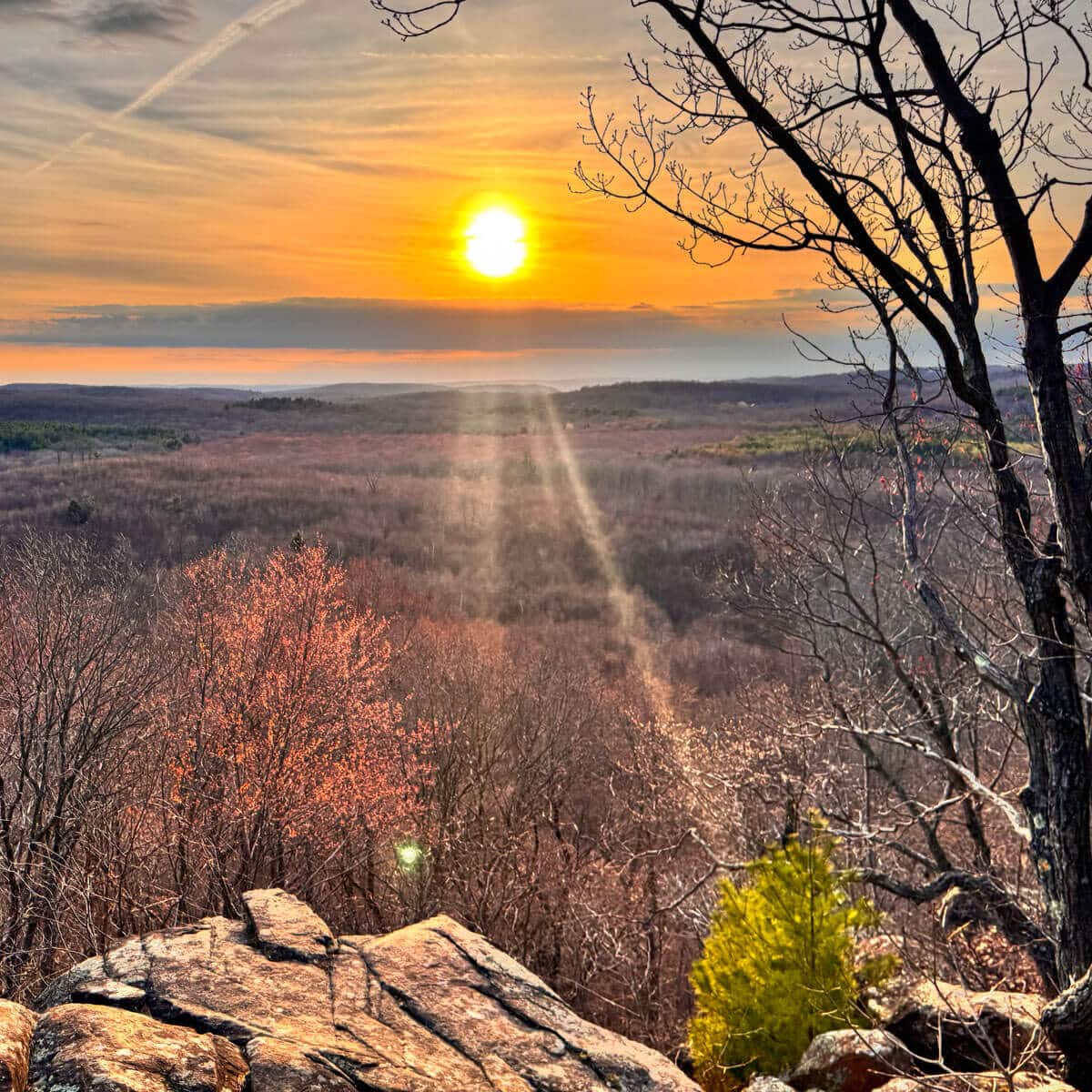 Mount Sanford Trail Guide; Naugatuck State Forest