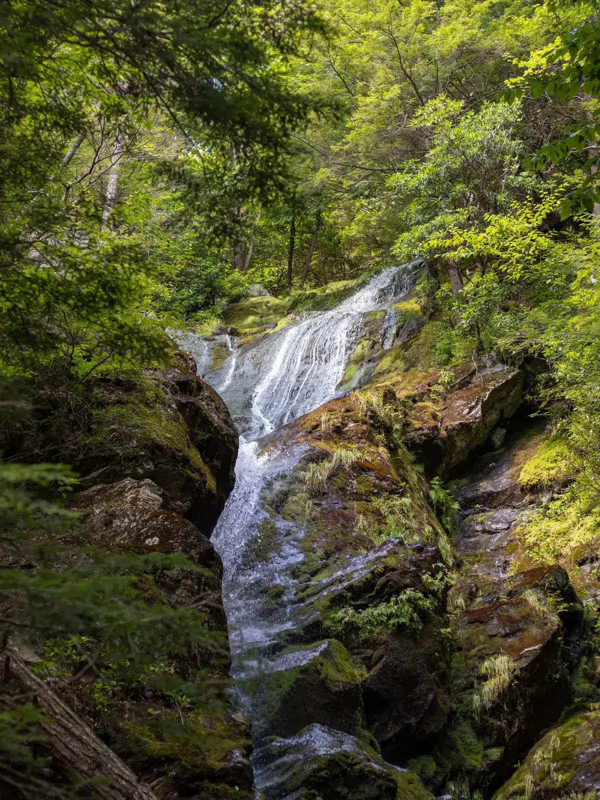race brook falls waterfall tumbling down in summer surrounded by green trees.
