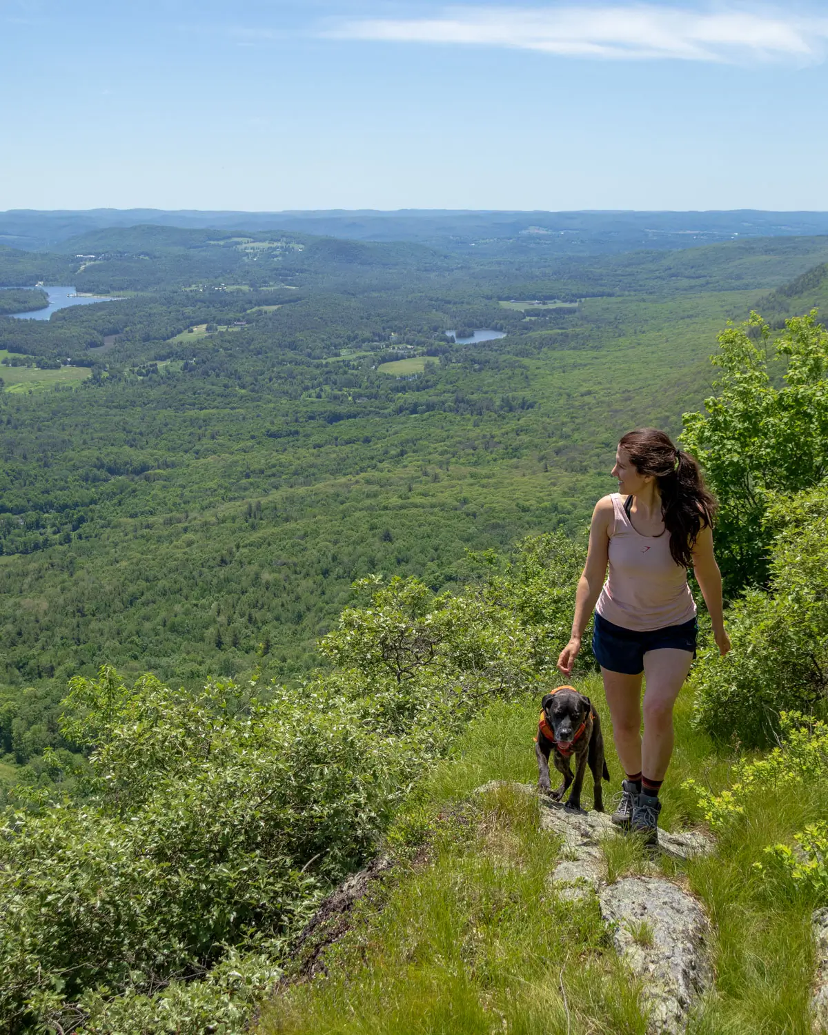 woman with pony tail and light pink tank top and blue shorts walking up mount race with brown dog and green hills in background.