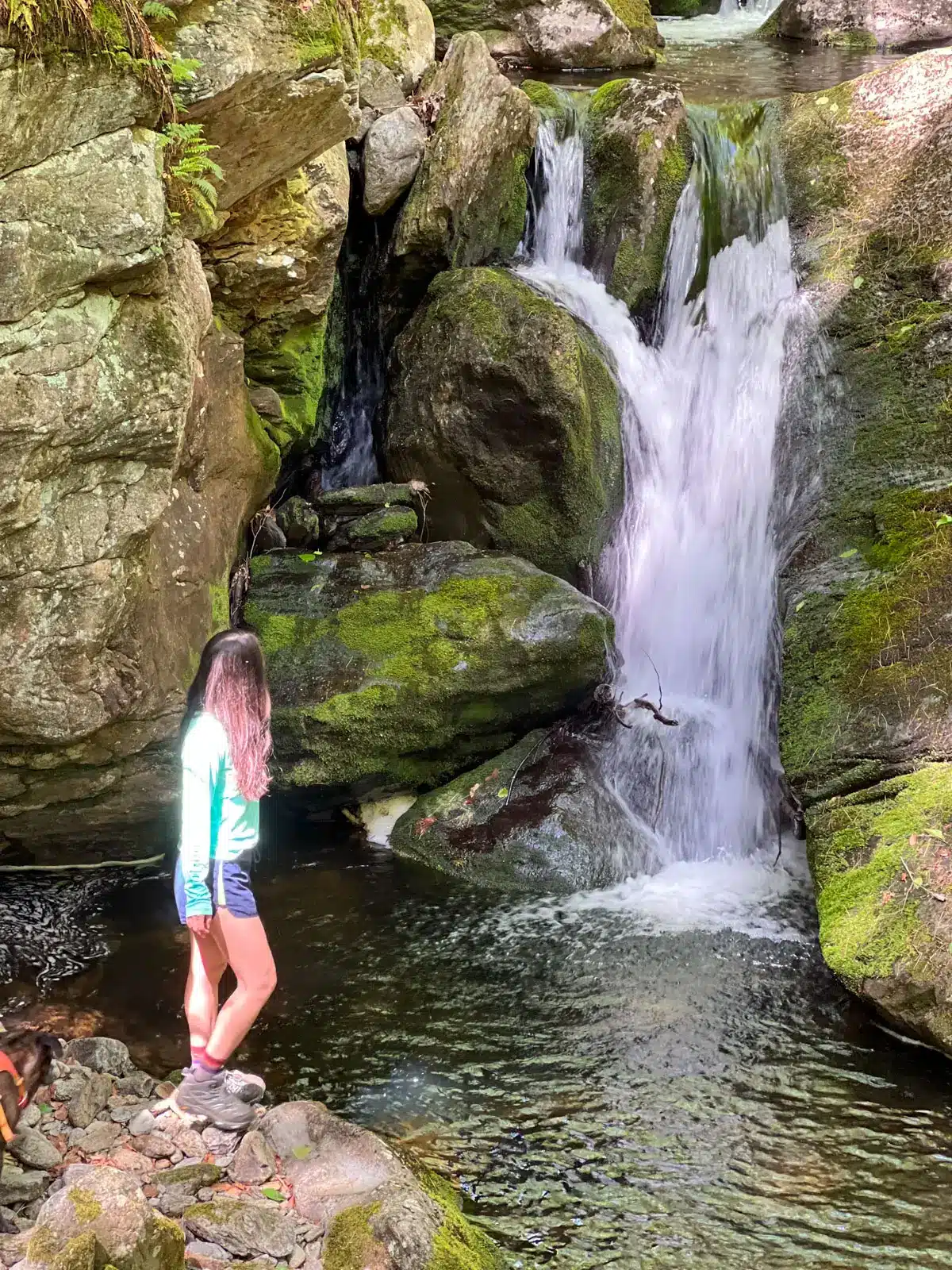 woman in blue shorts and green long-sleeve top standing alongside a small waterfall at sages ravine.