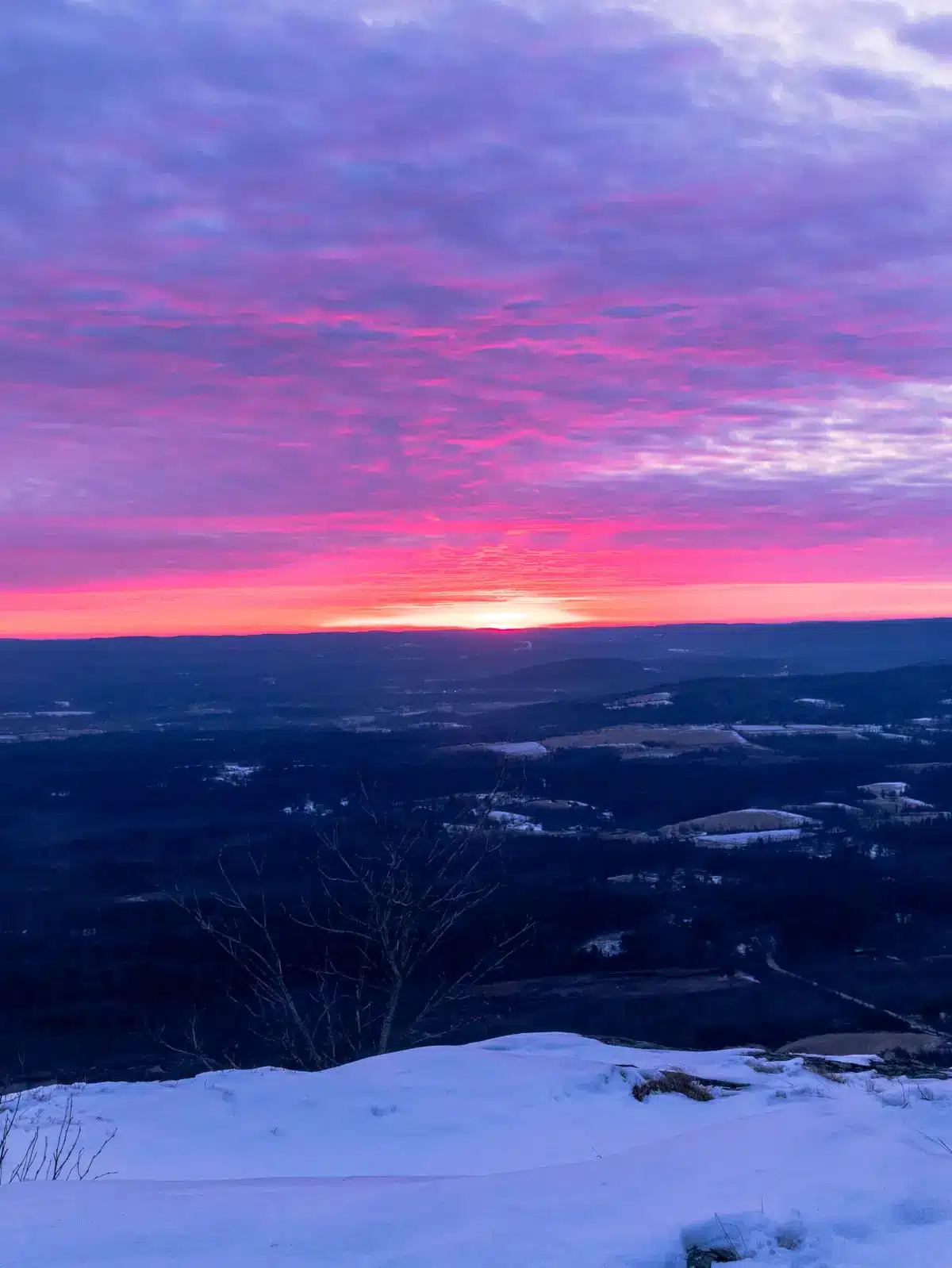 sunrise with pink and purple skies atop a snowy mount race in massachusetts.