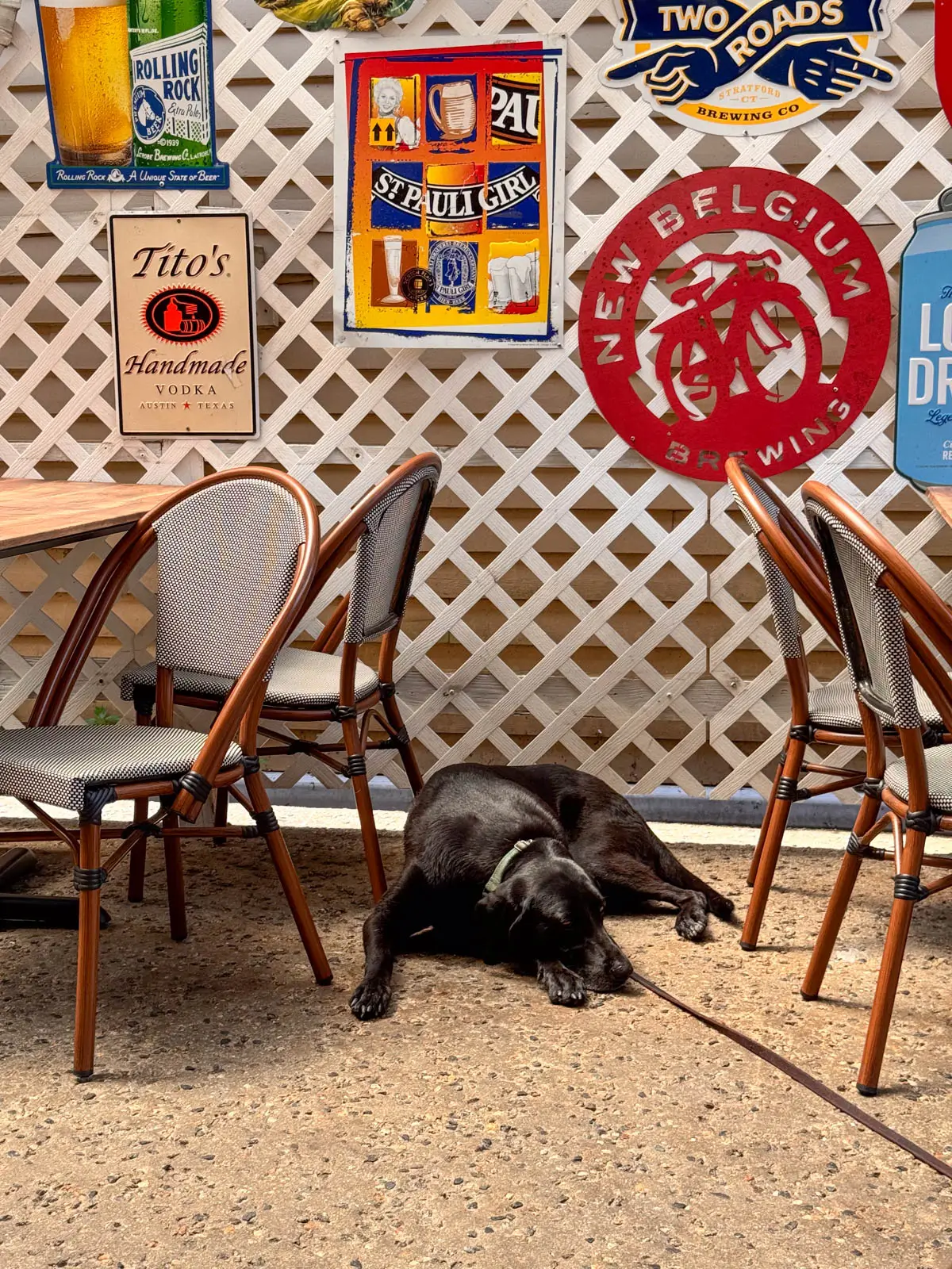 black dog laying on a patio at a restaurant with wicker chairs and tables next to him.