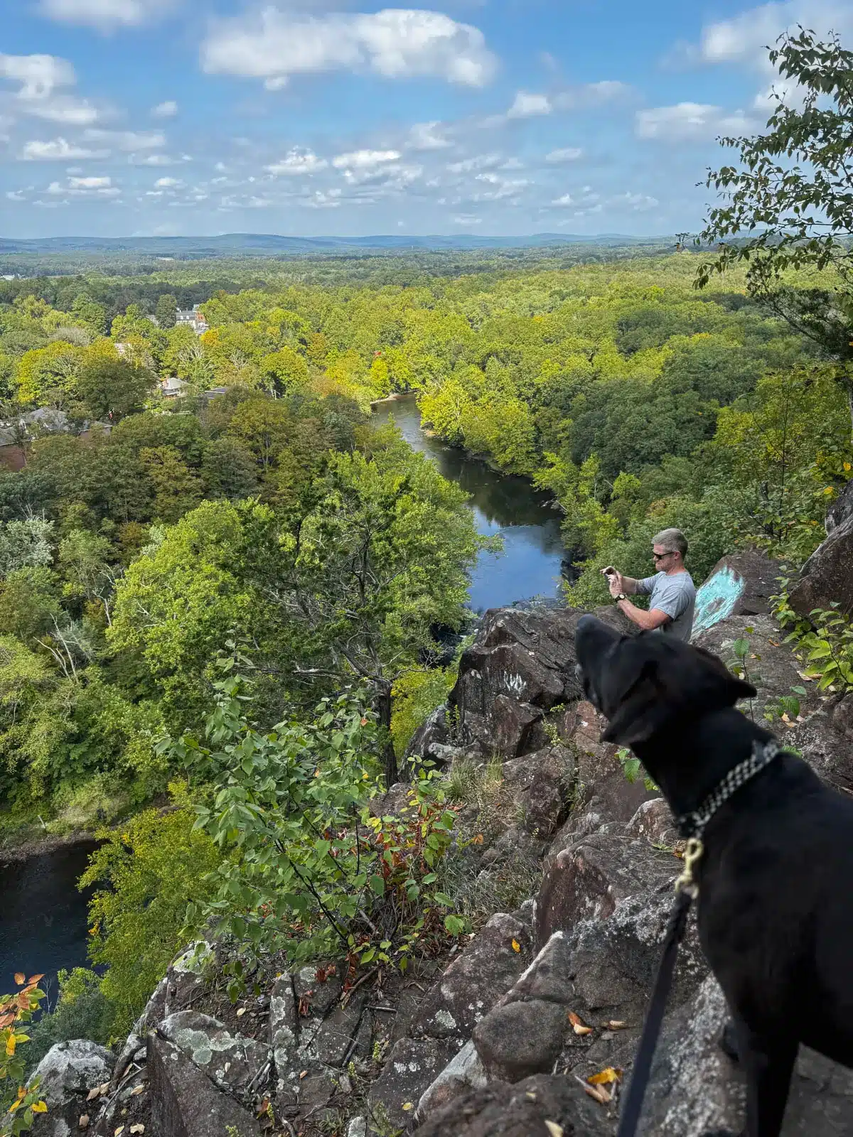 Big brown dog overlooking blue river below and bright green trees all around and blue sky above with white fluffly clouds at hatchet hill in tariffville, connecticut.