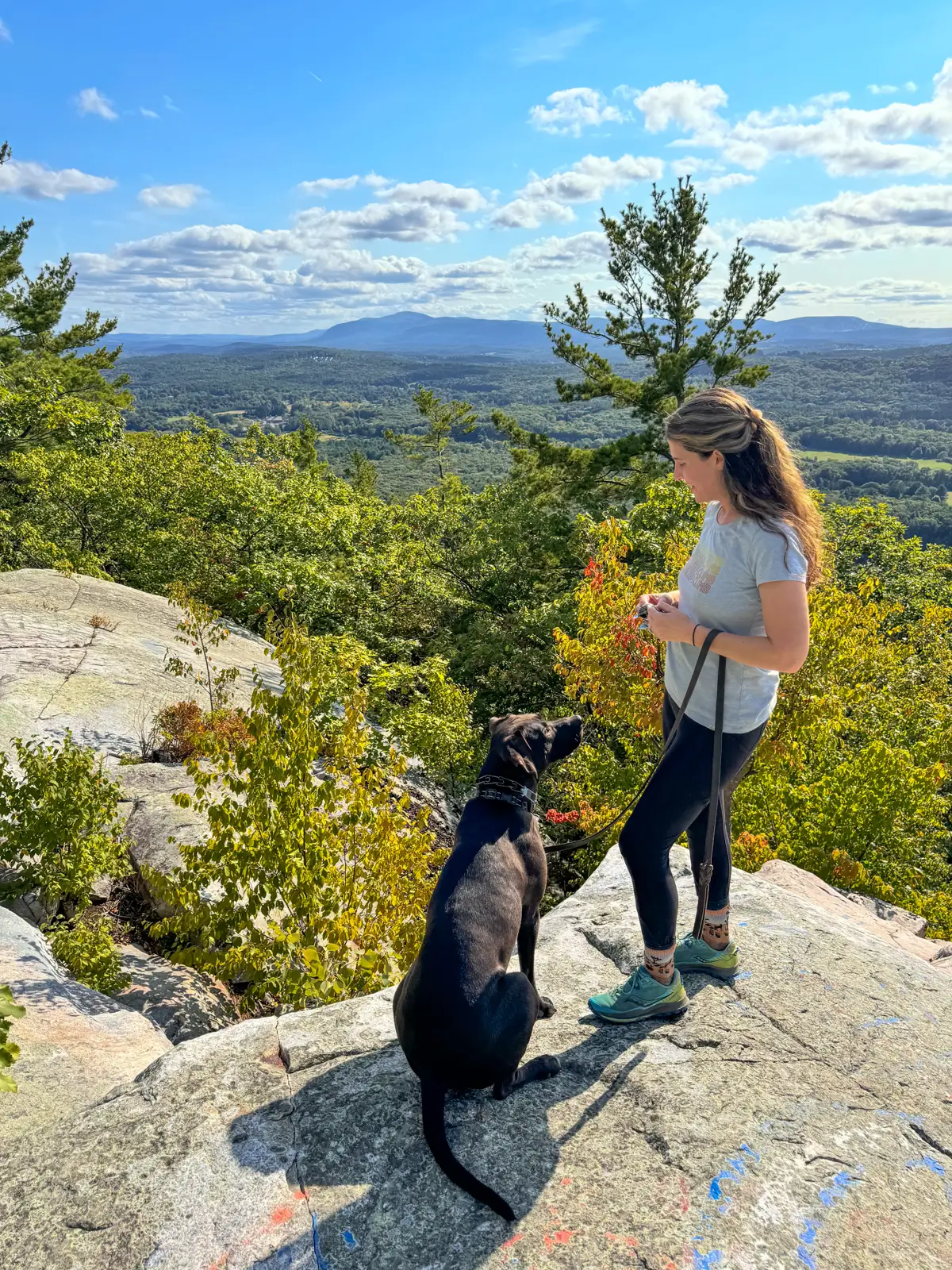 woman in light blue t-shirt smiling with big brown dog at top of mountain with rolling green mountains in background at monument mountain in the berkshires.