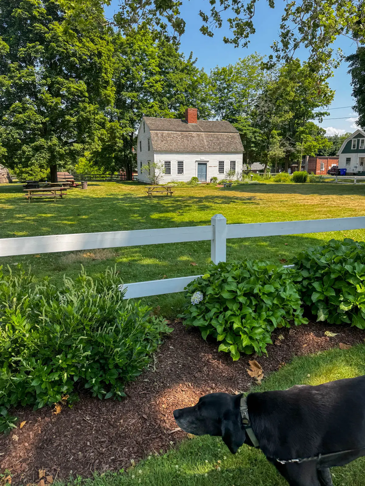 old white cape set back on bright green lawn with white picket fence in the front on a summer day with lots of light.