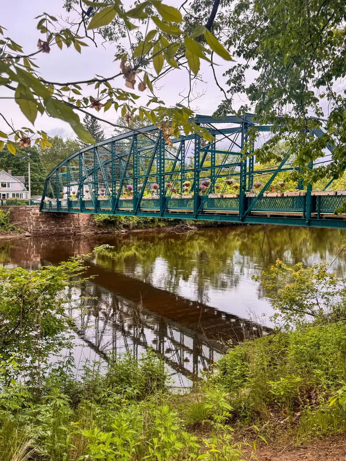drake flower bridge in simsbury connecticut framed with green leaves.