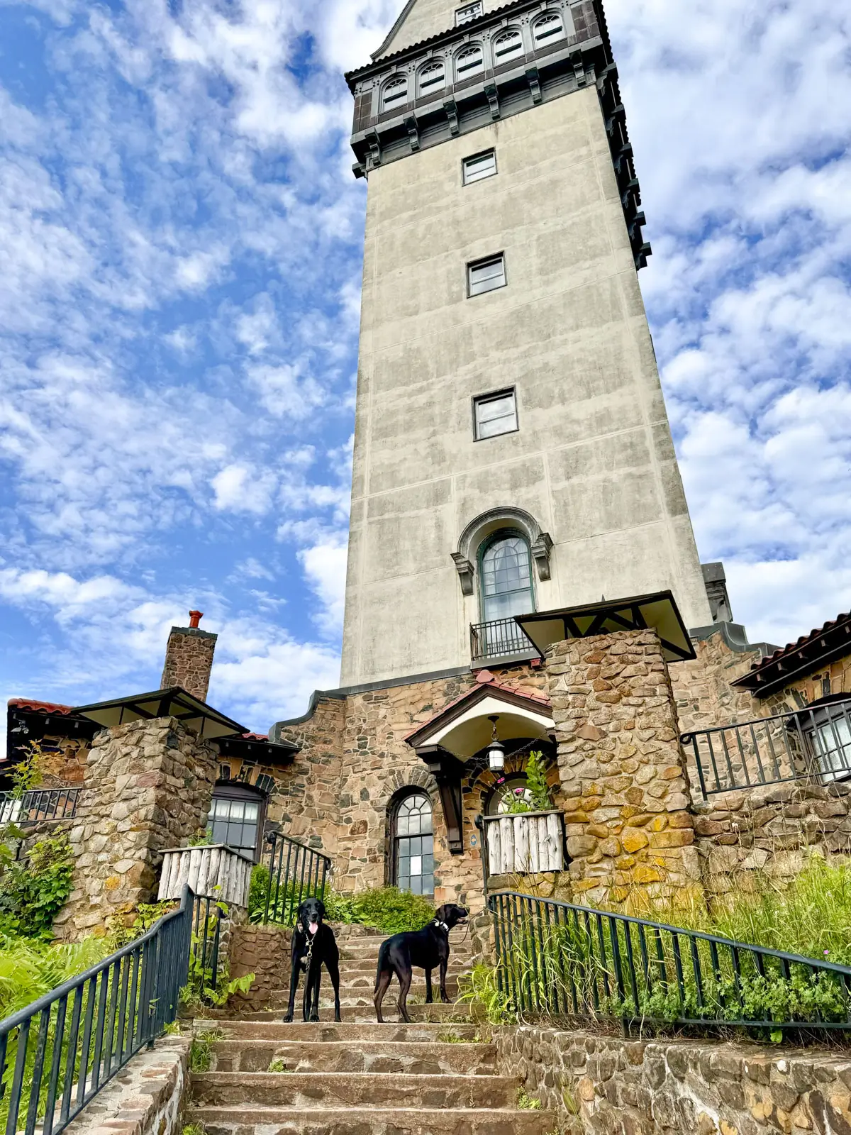 outside of heublein tower in simsbury with two big black dogs on the staircase leading to the tower and a blue sky with fluffy white clouds in background.