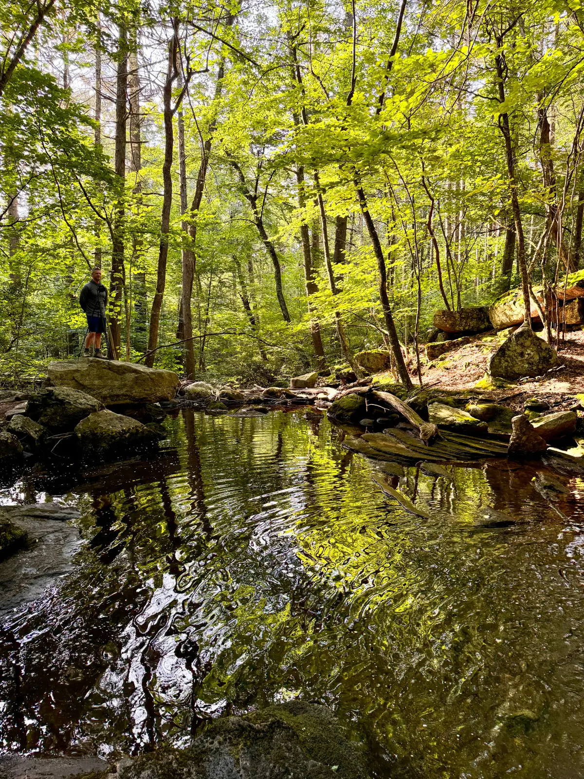 pool of water at base of waterfall l in simsbury connecticut surrounded by trees and green leaves.