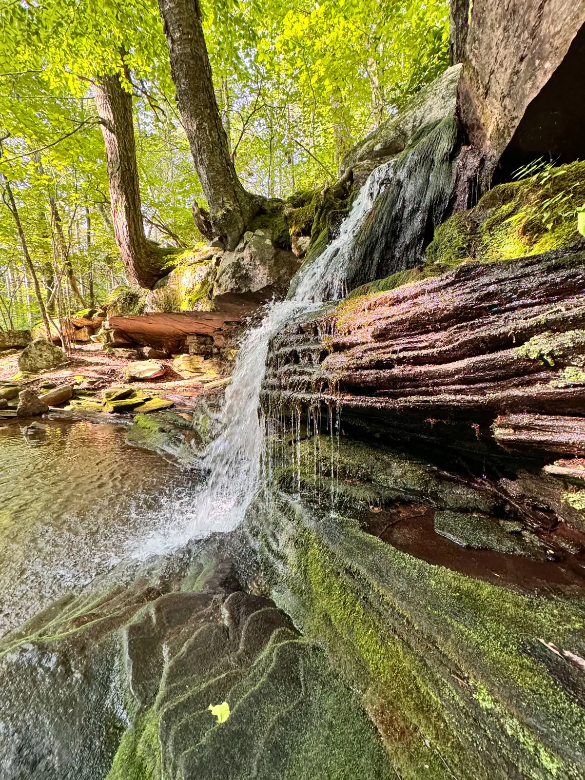 small waterfall in simsbury connecticut surrounded by trees and green leaves on a sunny day.