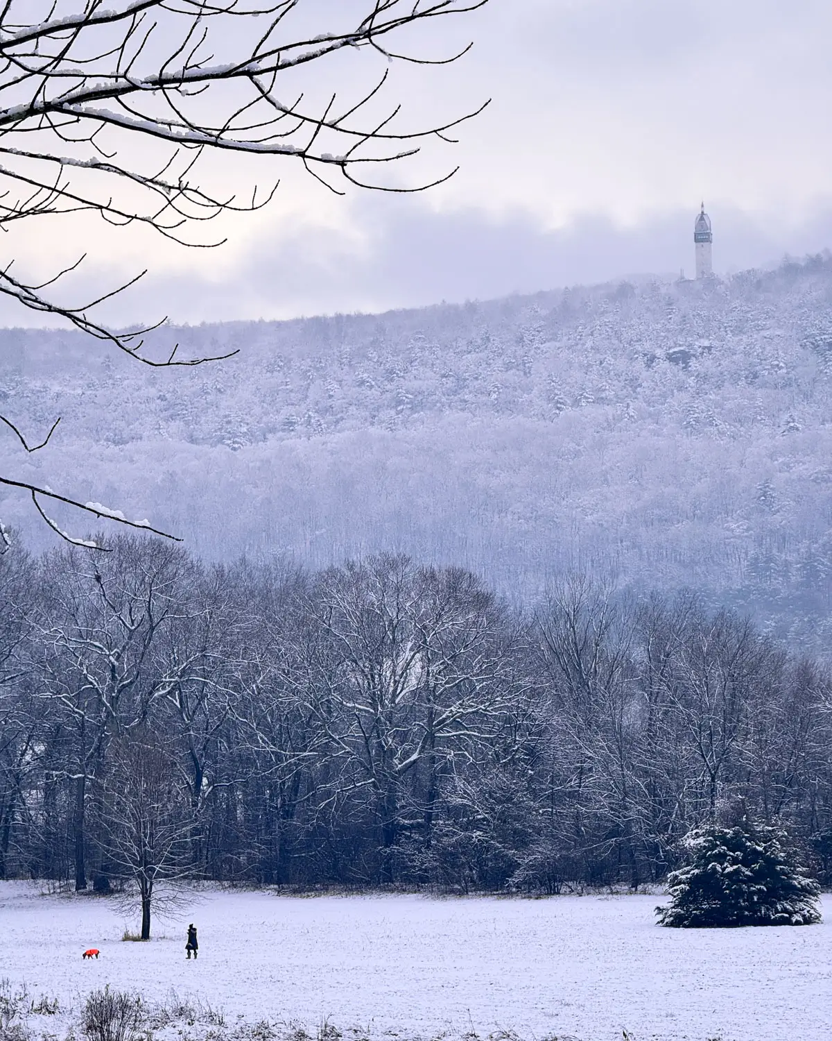 winter view of frozen mountain covered in snow.