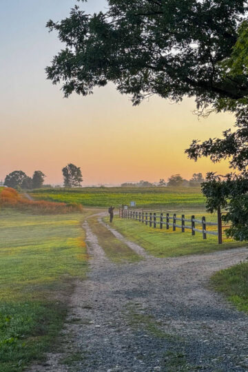 farm trail at sunrise time with orange glow in sky in simsbury ct.