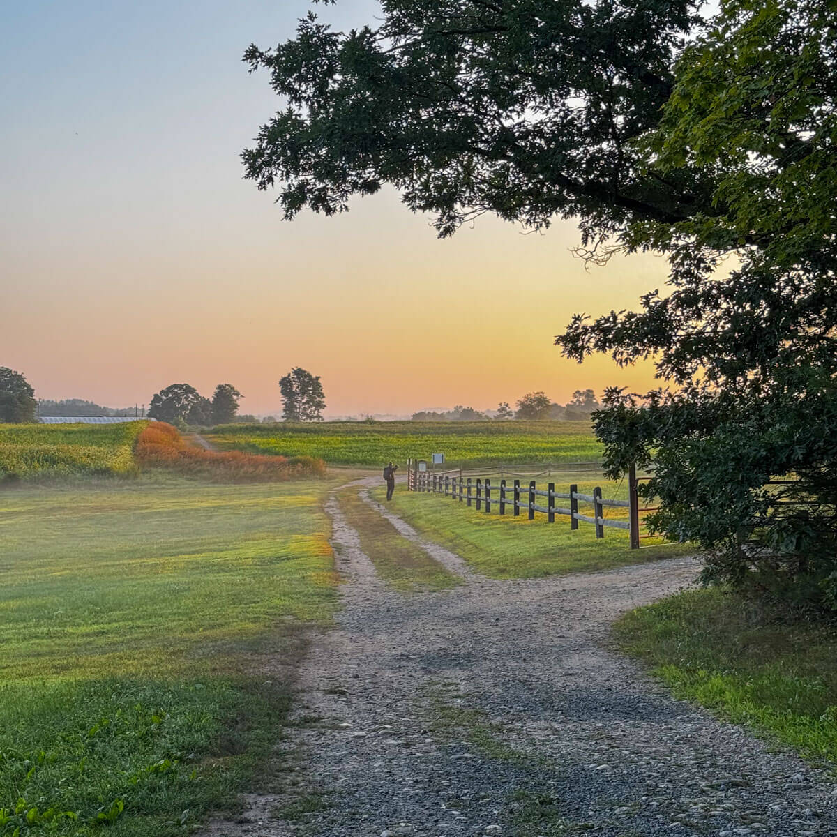 farm trail at sunrise time with orange glow in sky in simsbury ct.