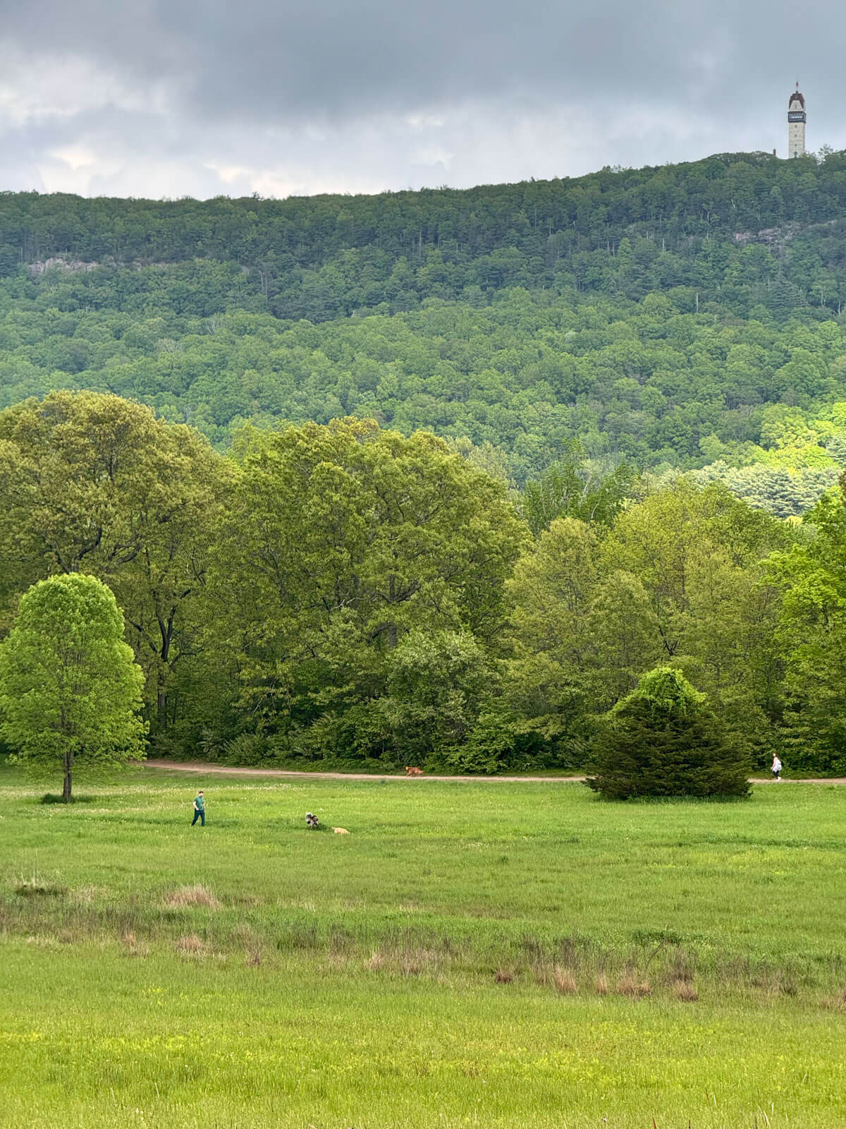 green meadow view of talcott mountain in the distance nodbrook wildlife in simsbury.