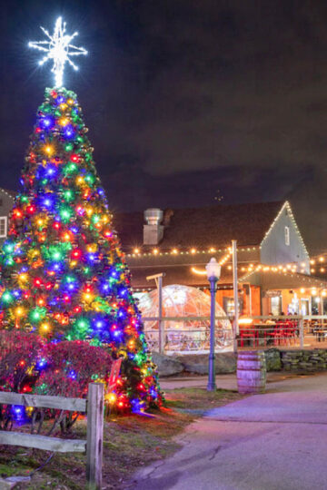 mystic village in connecticut at night with christmas lights decorating the street and a tall christmas tree in multi-colored lights.
