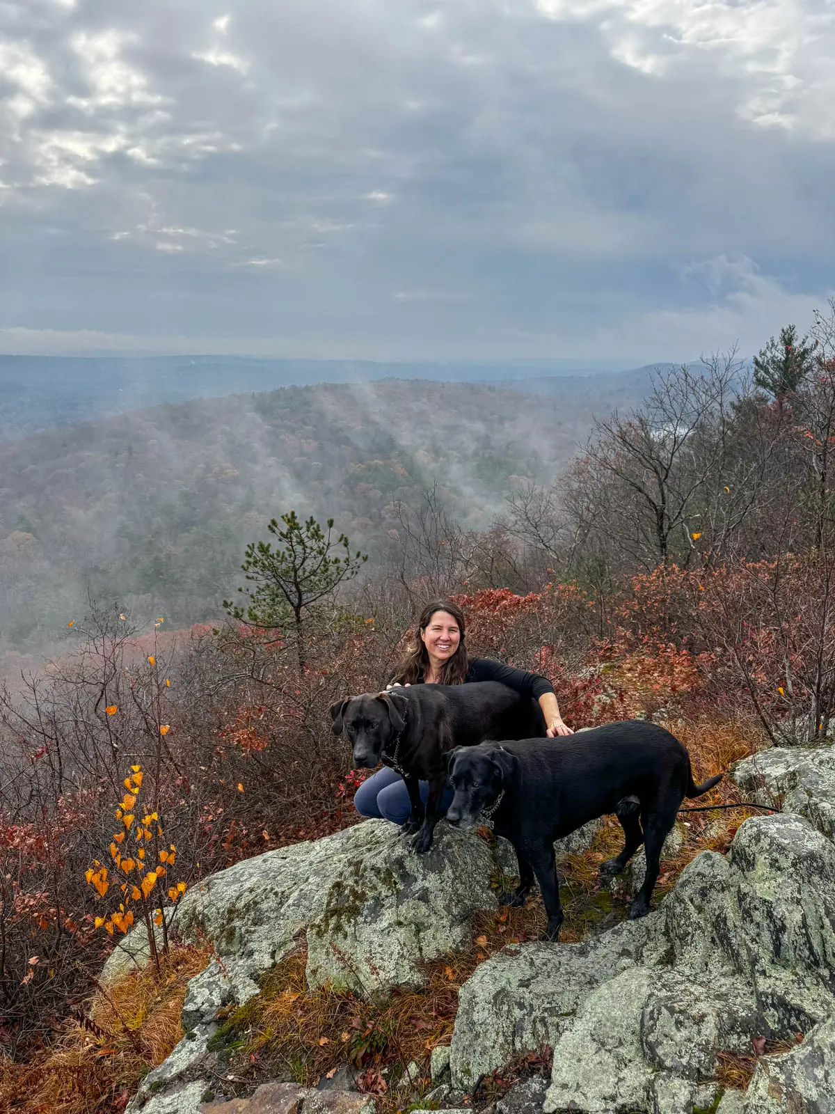 woman smiling on mountain top in fall in monson, massachusetts, with two big black dogs and mist in background and red colored leaves on trees.