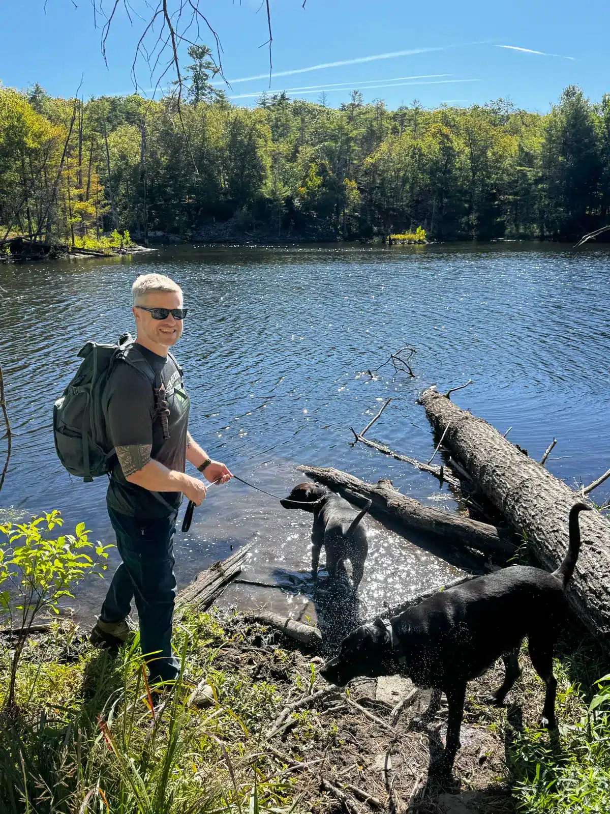man with hiking backpack and two big black dogs standing in front of blue pond at Onteora lake hike on summer day with green trees lining the water and bright sun shining above.