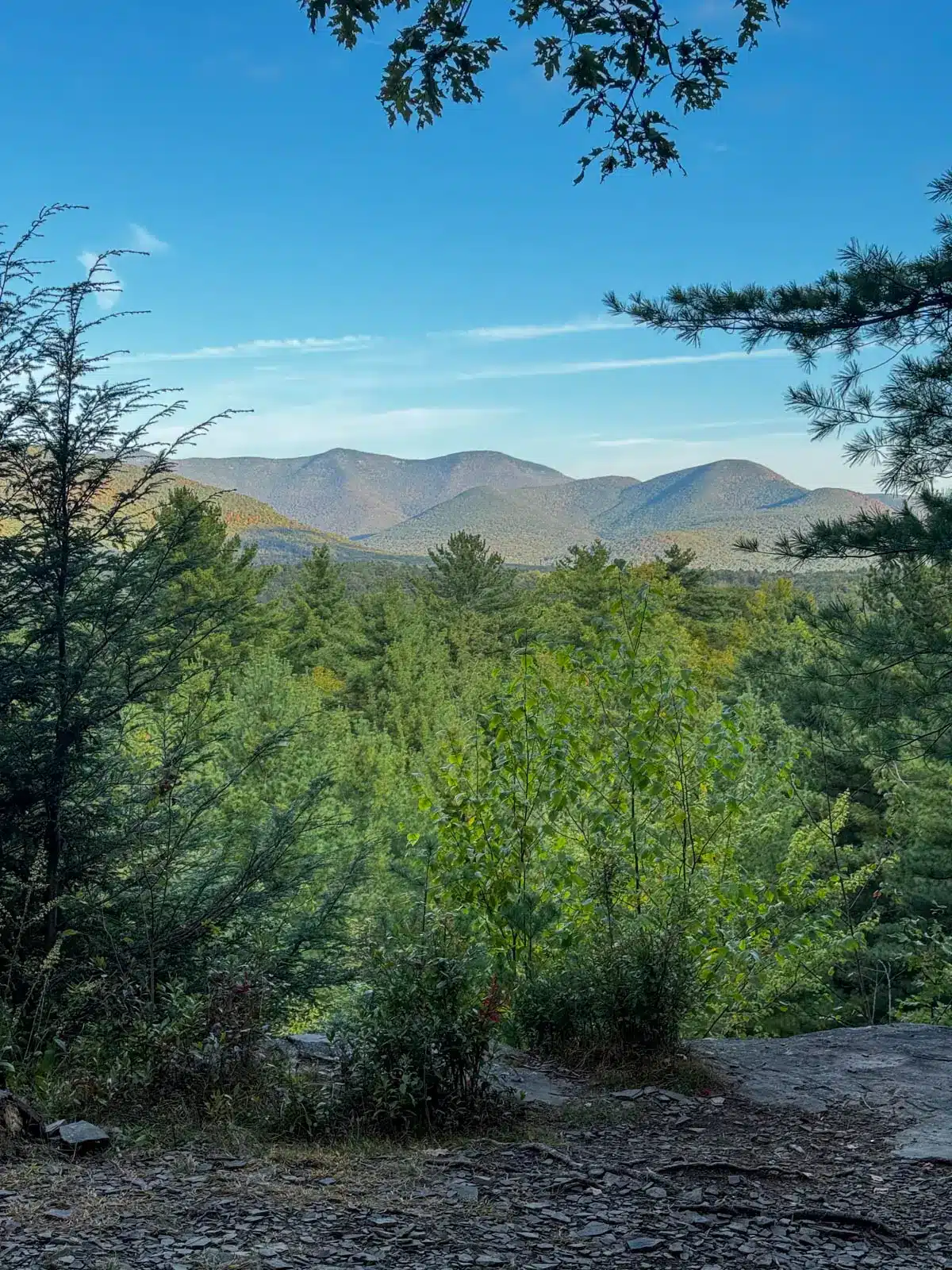 view from ashokan quarry hike with views of mountain range on summer morning with bright green trees in front of the mountains and blue skies above.
