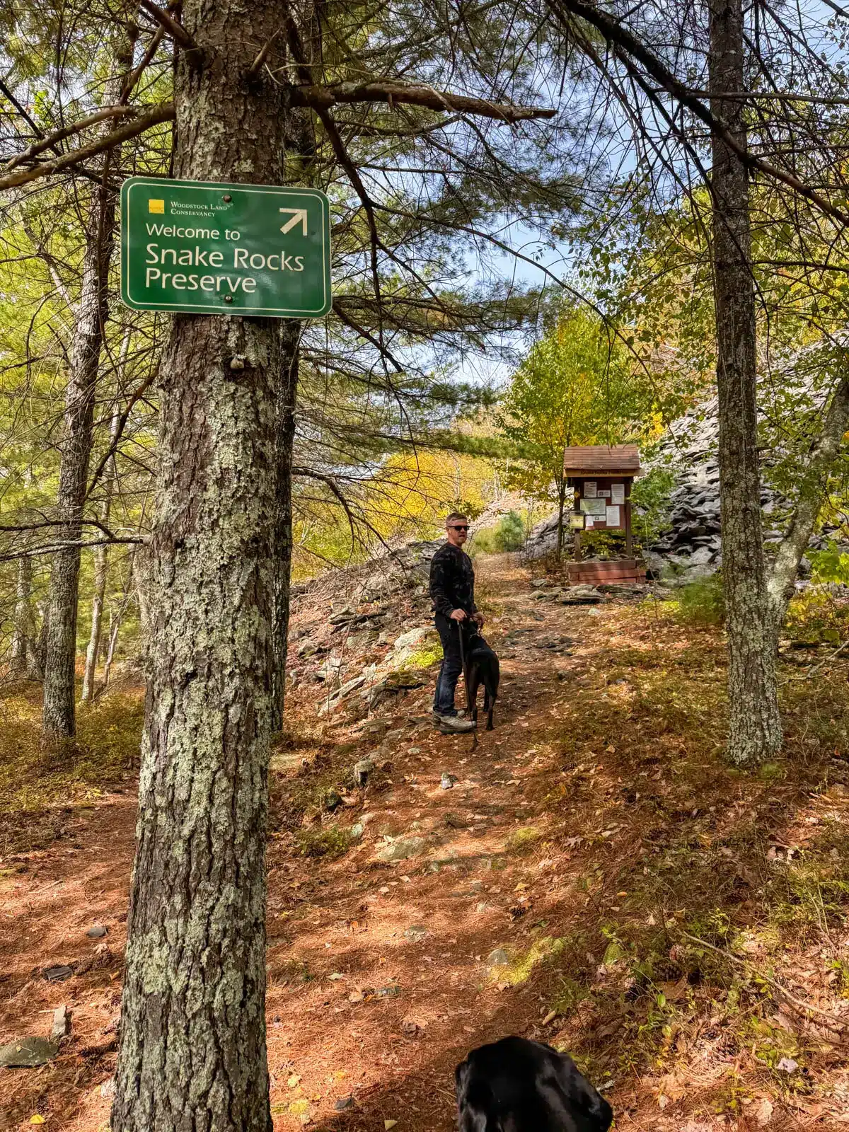 man walking up a pine needle path at snake rocks preserve in woodstock new york.