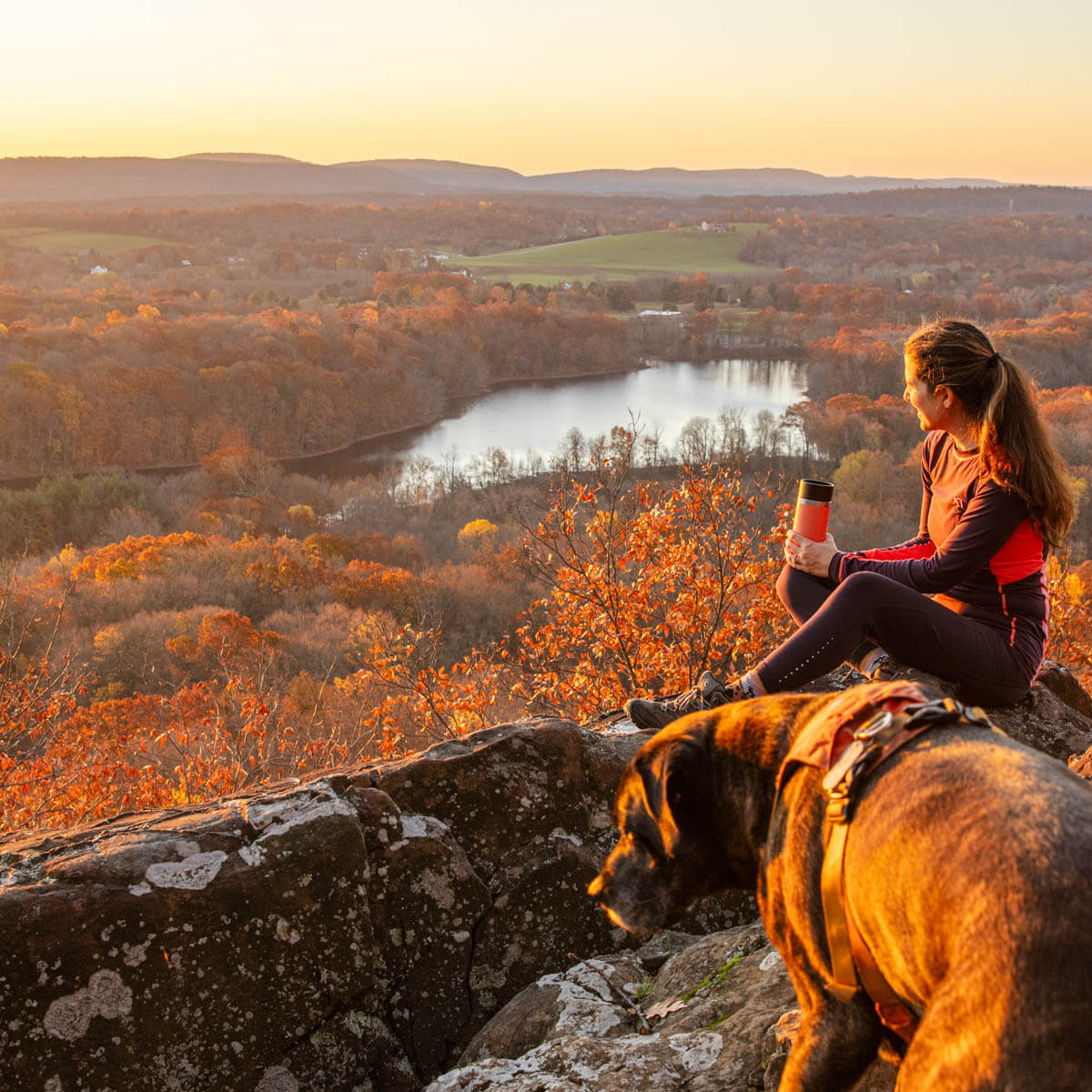 woman sitting on cliff edge looking out at hillside beauty at sunrise time with soft yellow glow in sky and orange tree tops in distance at ragged mountain.
