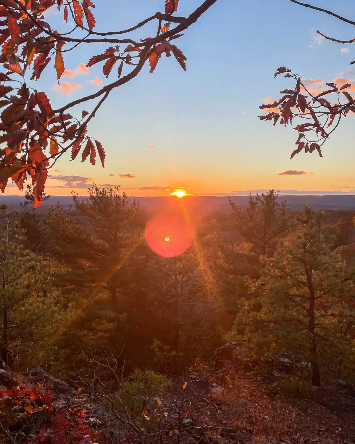golden sunset with red leaves framing the photo/