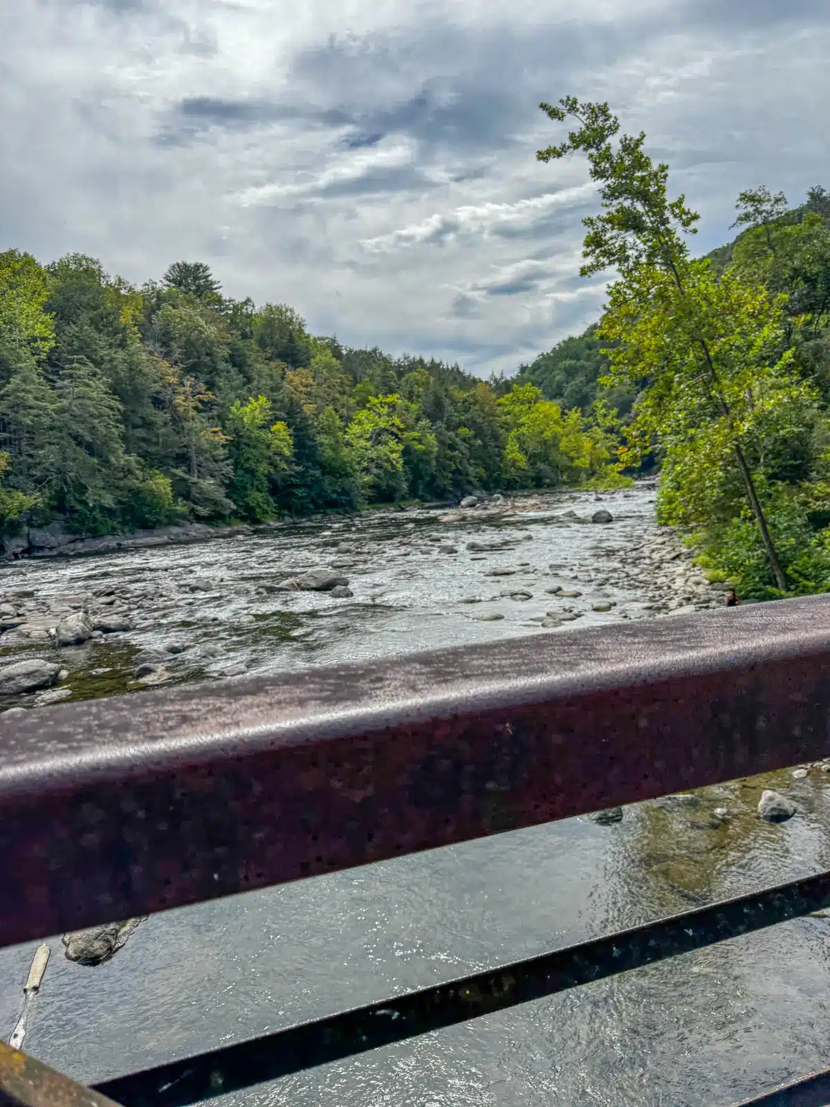 view from bridge going across the housatonic river surrounded in green leafs and trees in the forest.