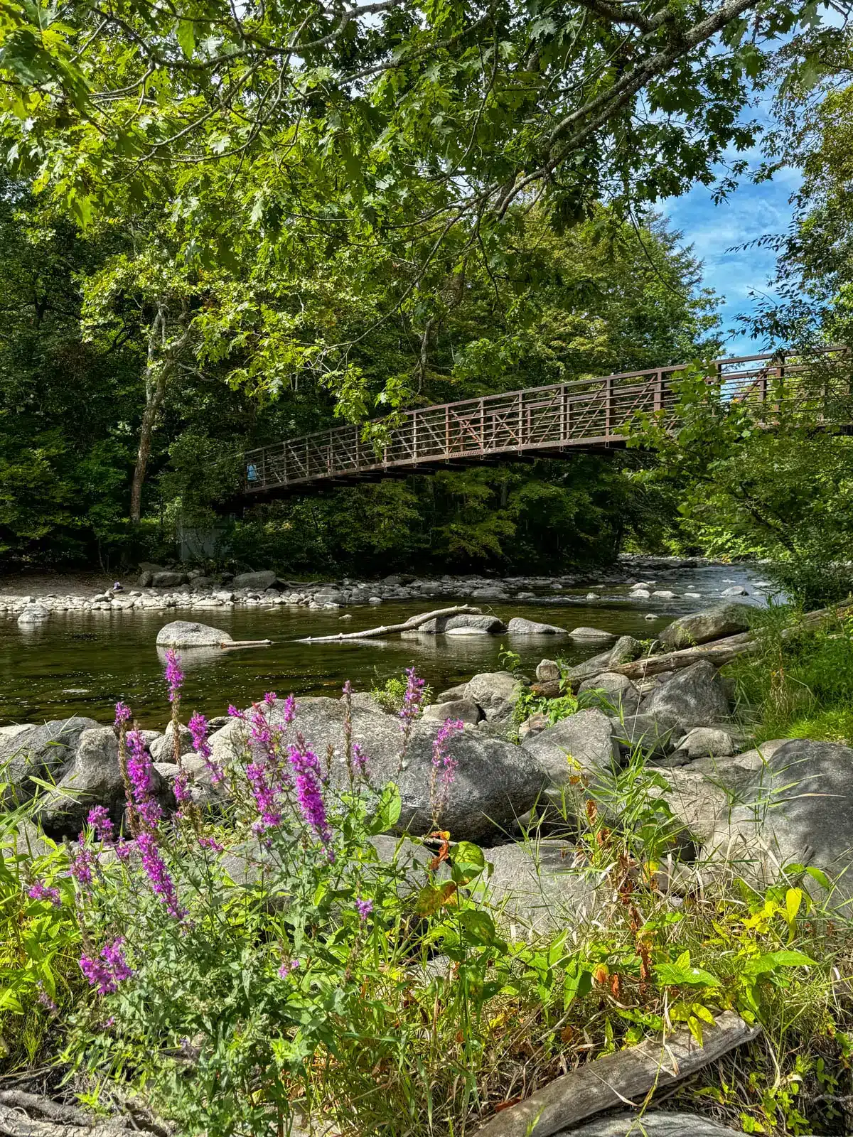 bridge going across the housatonic river surrounded in green leafs and trees in the forest.