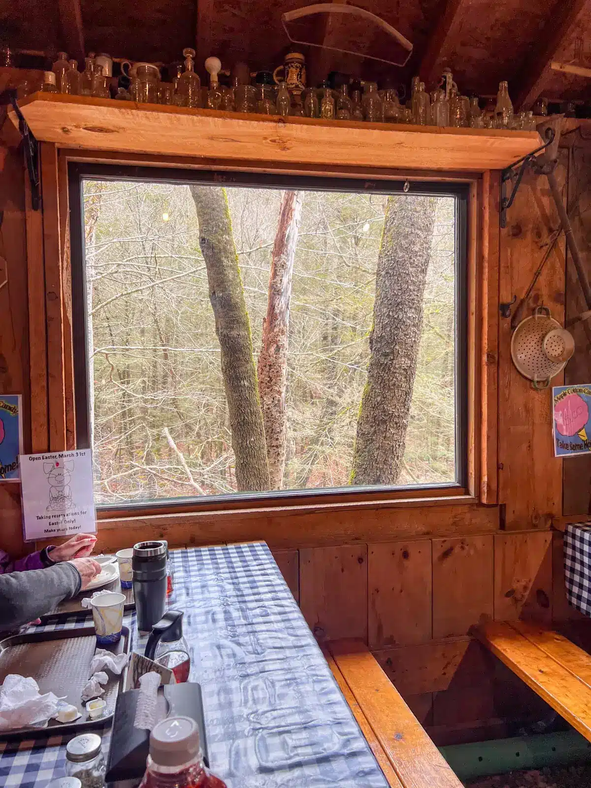 inside a maple sugarhouse in masschusetts at a wooden picnic table with big glass window looking out toward woods.