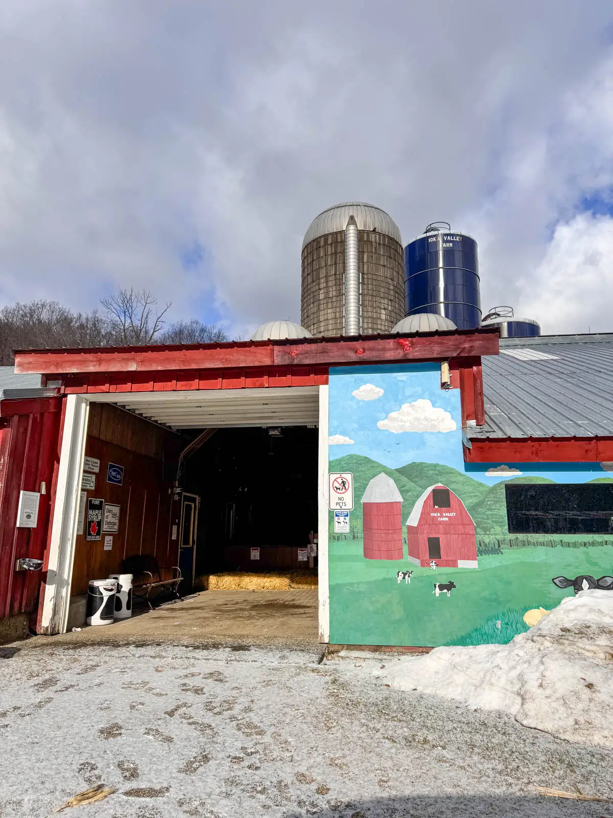 outside ioka valley farm in the berkshires with red barn and silos.