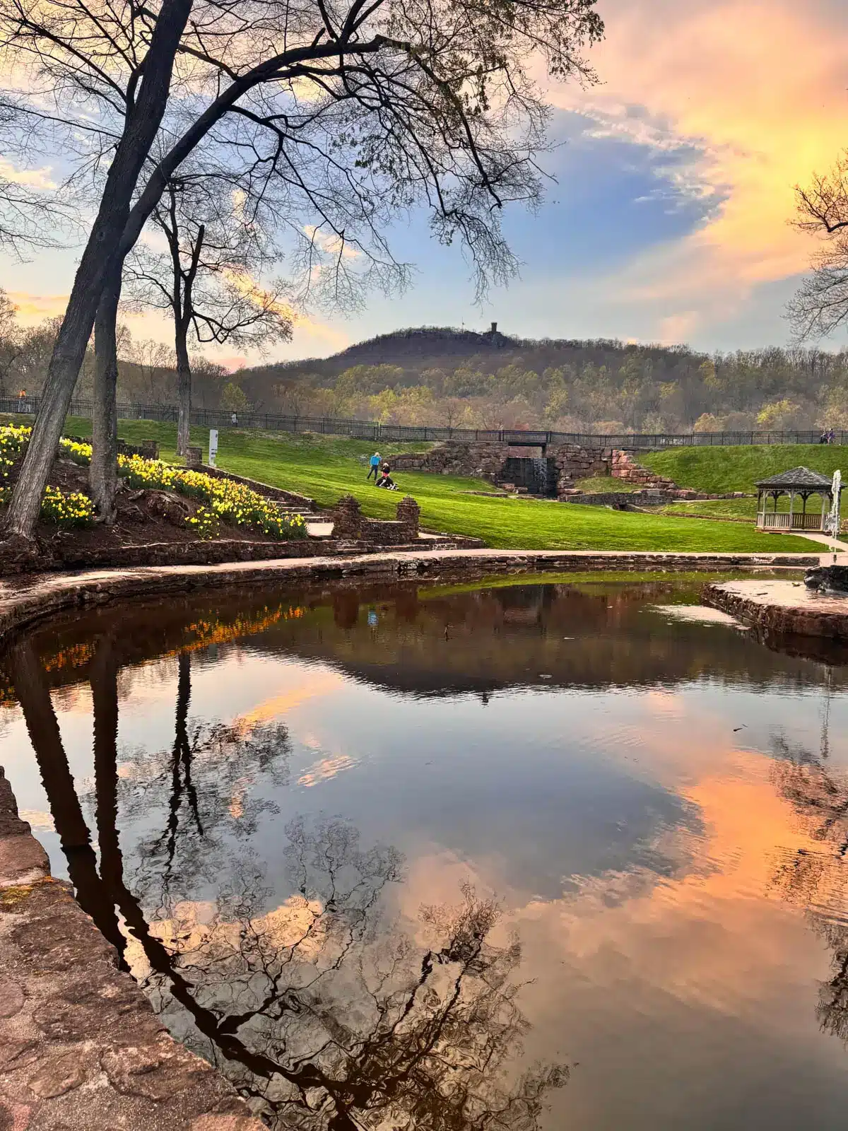 golden hour skies reflected in large pond with mountain ridge in connecticut and yellow daffodils on the hill.