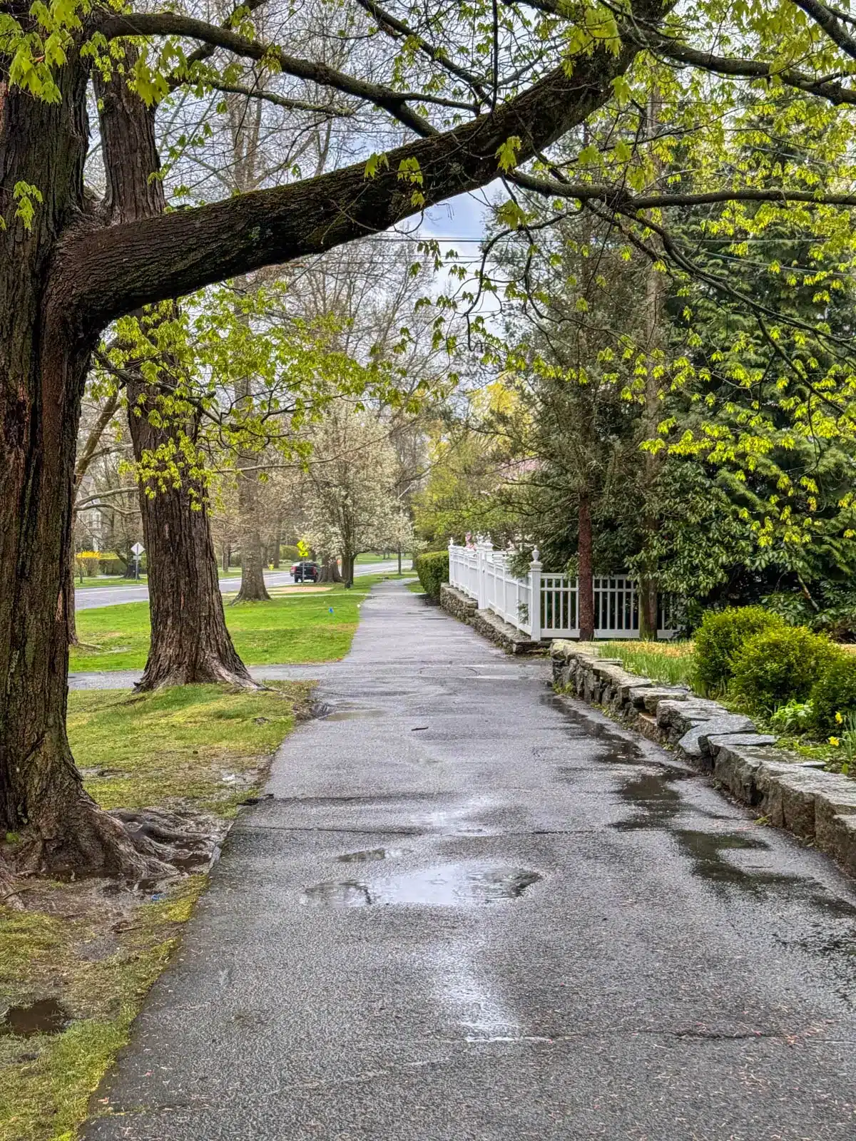 sidewalk with bright greenery on a spring day in downtown litchfield.