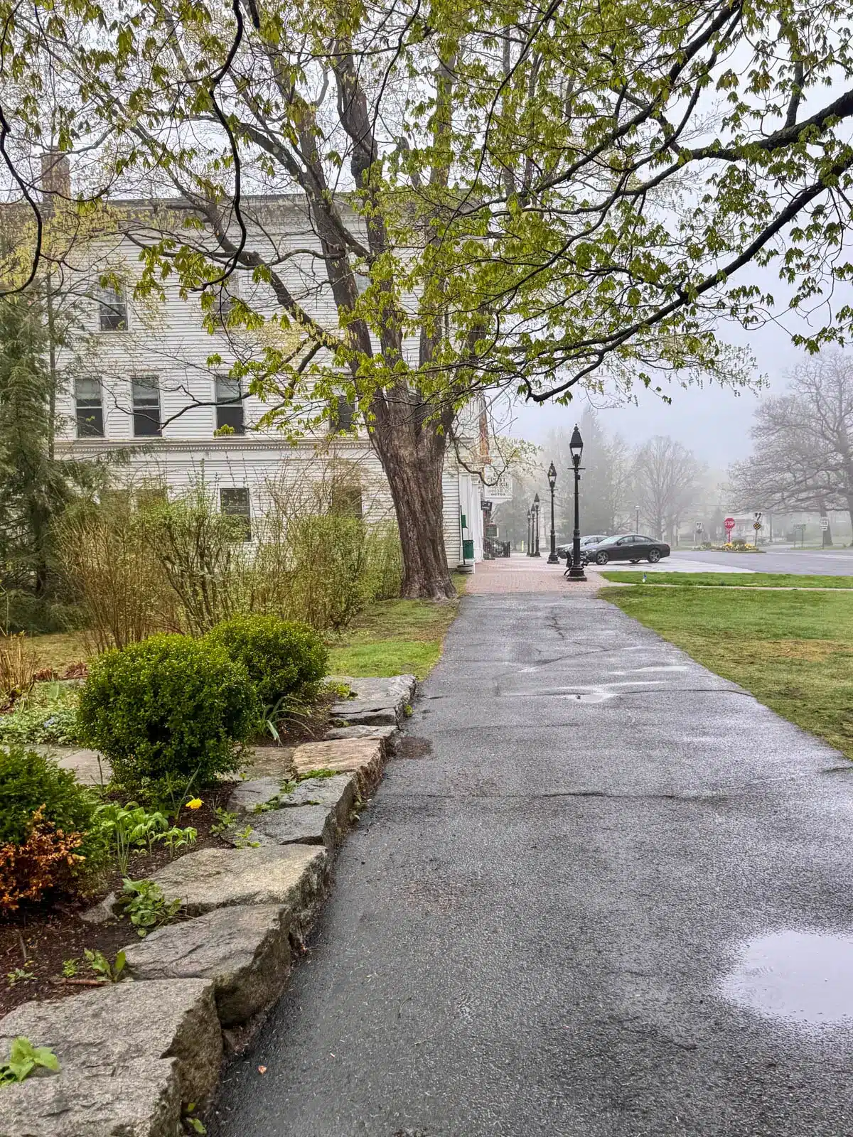 sidewalk with fresh greenery on a spring day in downtown litchfield.
