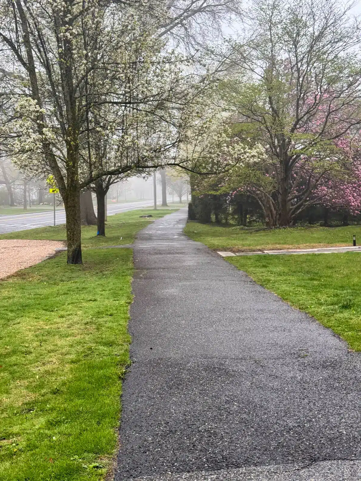 sidewalk with bright greenery on a spring day in downtown litchfield.