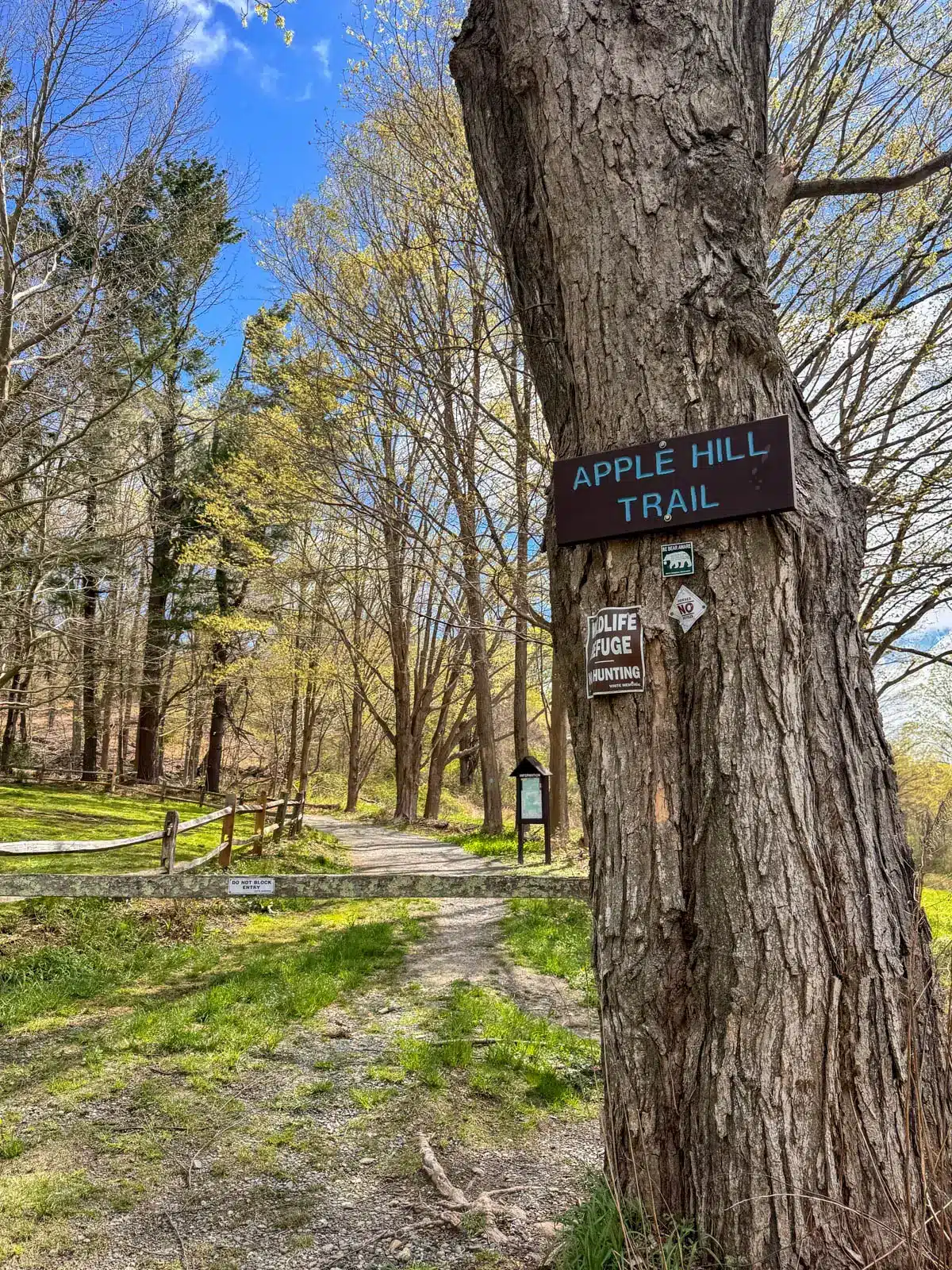 tree with apple hill sign in litchfield at the start of a hike.