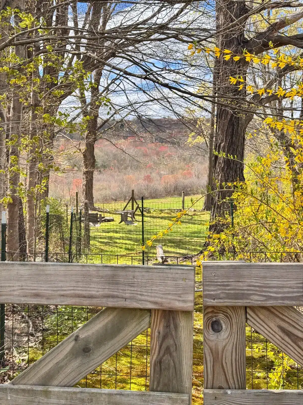 farm view in spring with bright green grass.