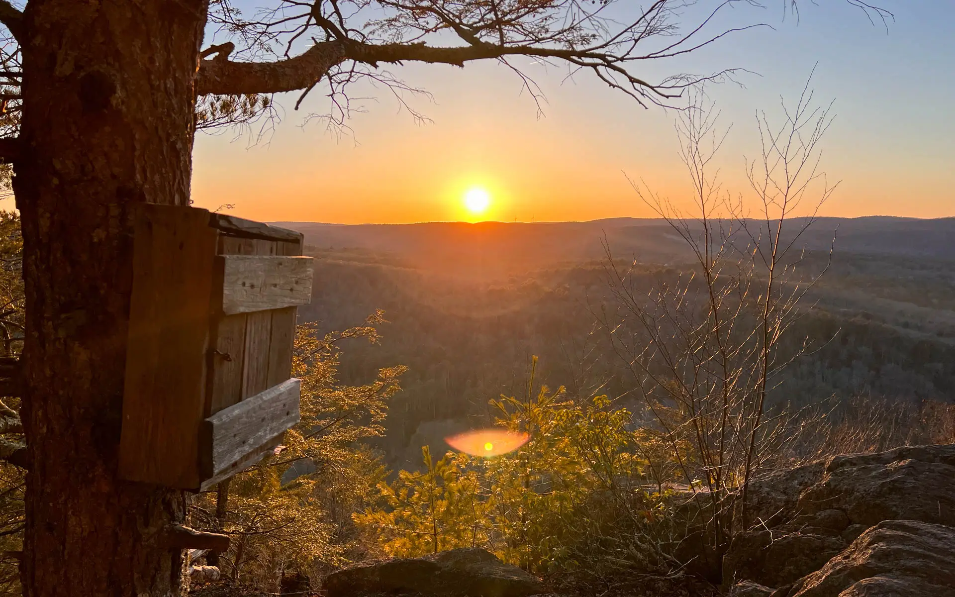 golden sun setting at top of hike in connecticut.