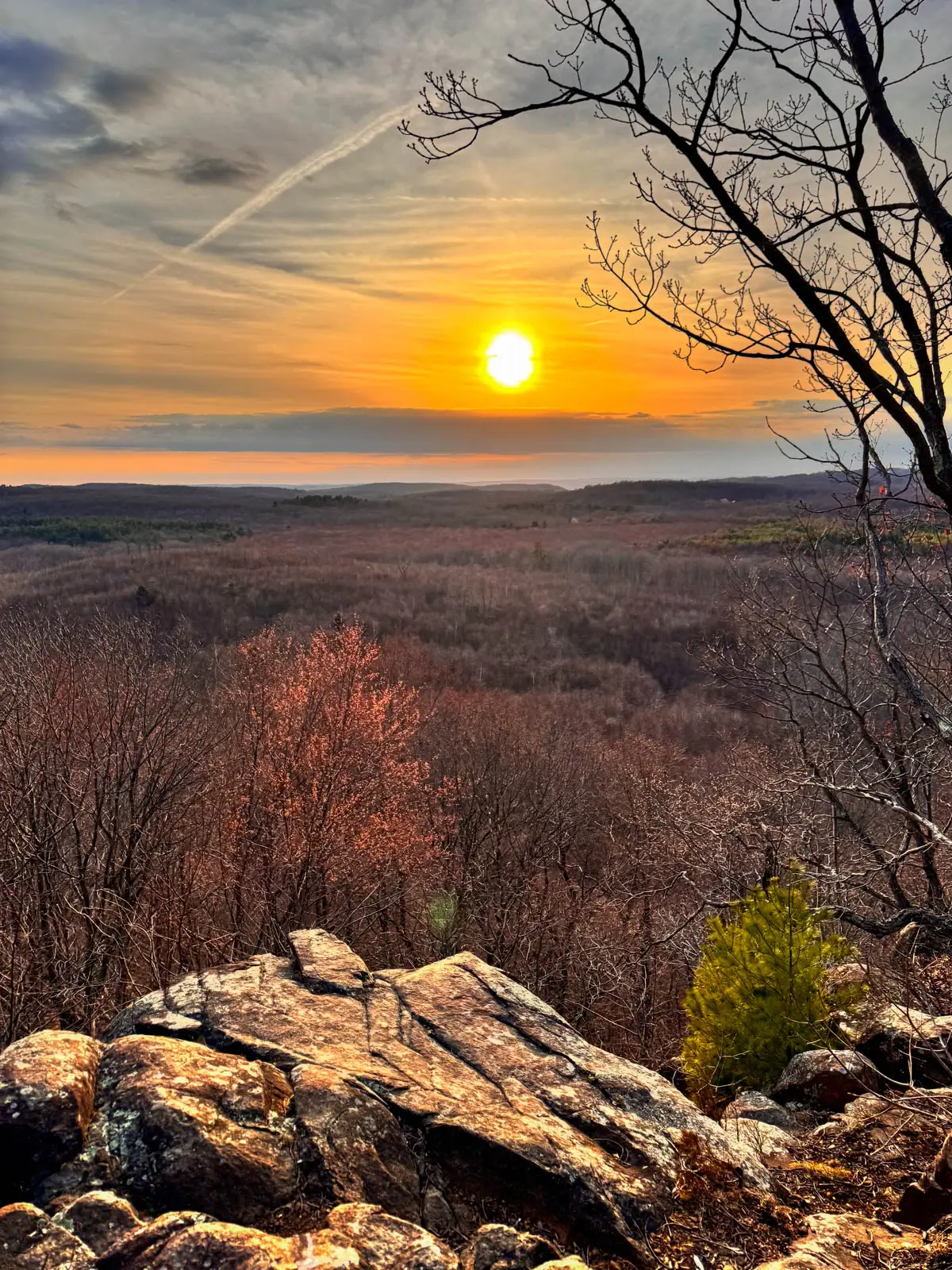 sunset view from top of hike in connecticut with golden sun setting and black dog on cliff ledge.