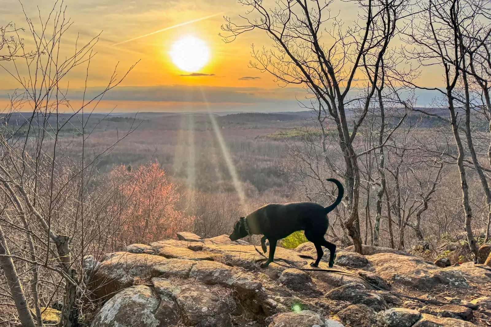 sunset view from top of hike in connecticut with golden sun setting and black dog on cliff ledge.