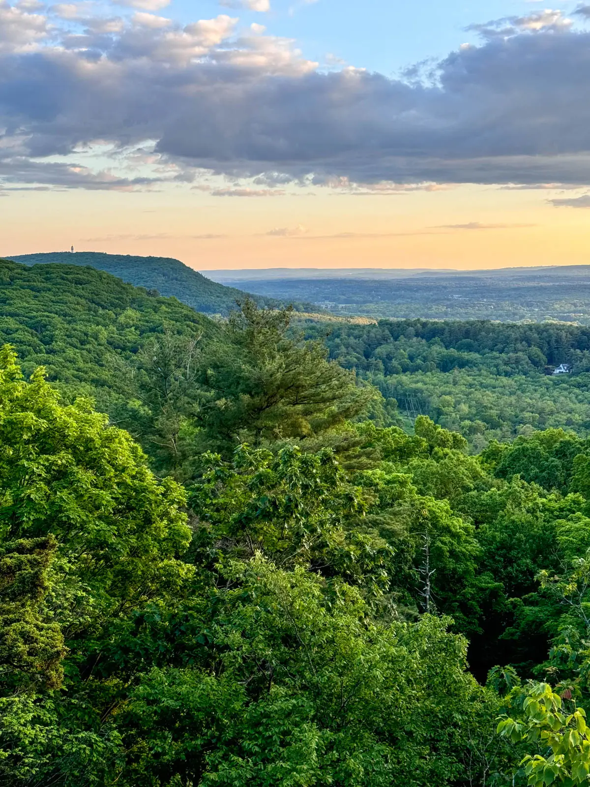 view of rolling bright green hills at sunset time with a soft yellow glow in sky at sunset time.
