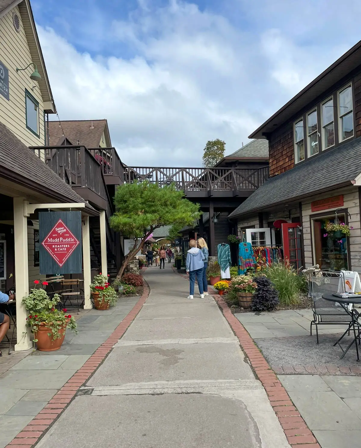shops in downtown new paltz.
