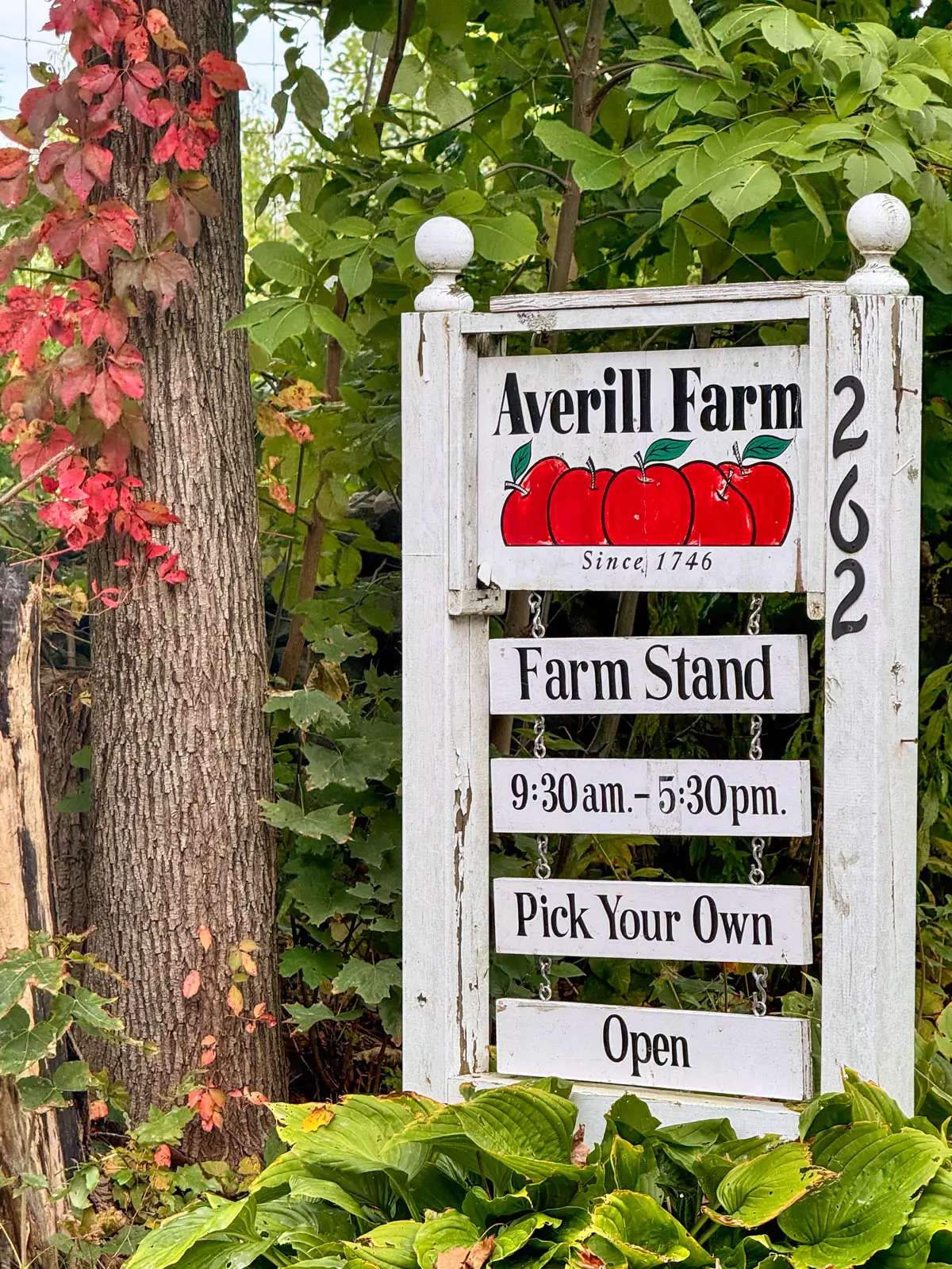 white sign of averill farm with red apples on it and pick your own writing.