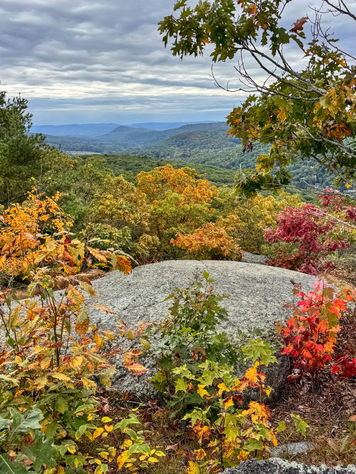 top of view from fall hike at macricostas preserve in new preston with red, orange, green, and yellow leaves in distance and rolling green hills.