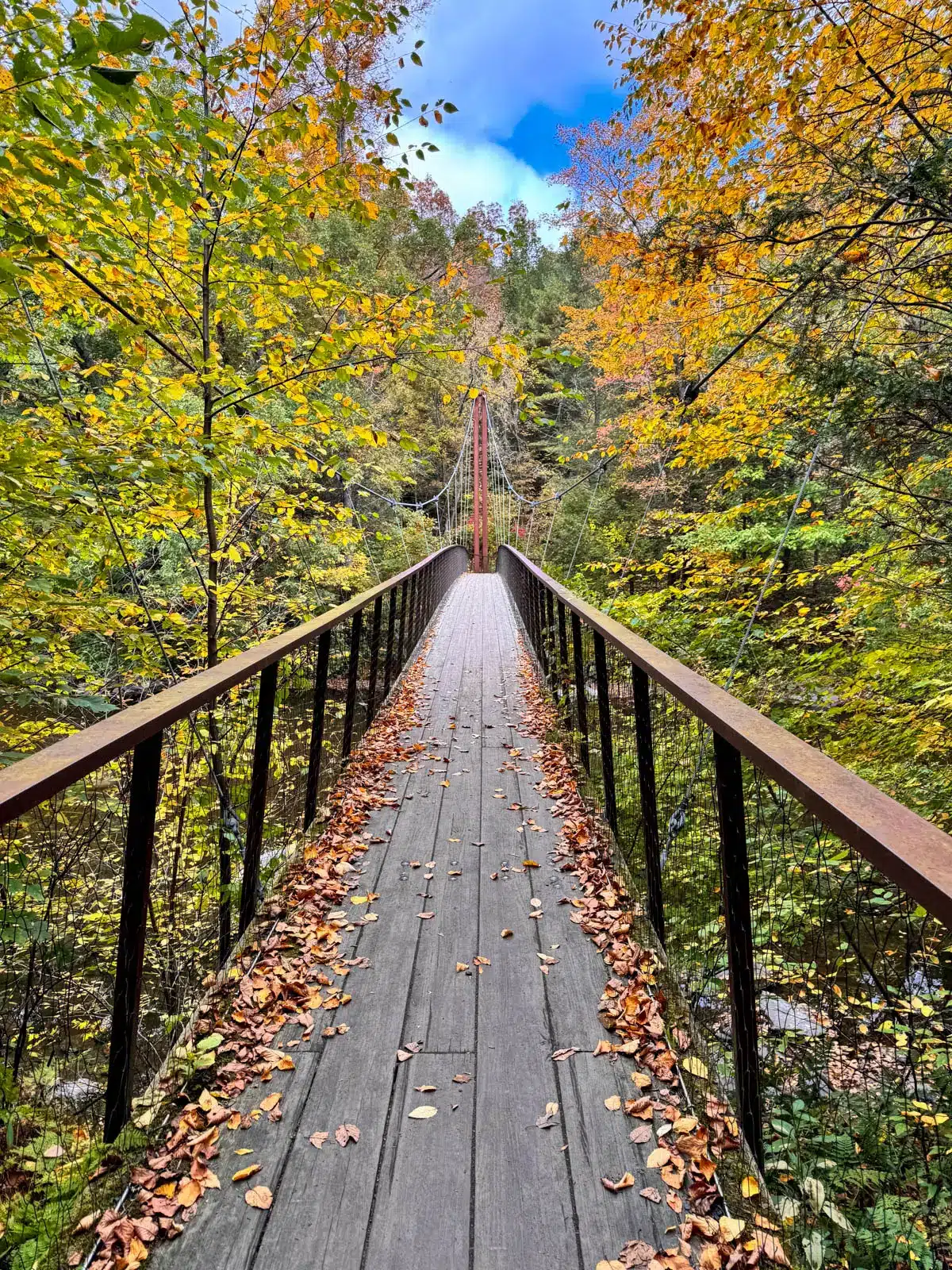 view looking a suspension bridge in middle of forest in fall with orange, yellow, and green leaves lining the bridge and dried leaves on either side of the bridge.