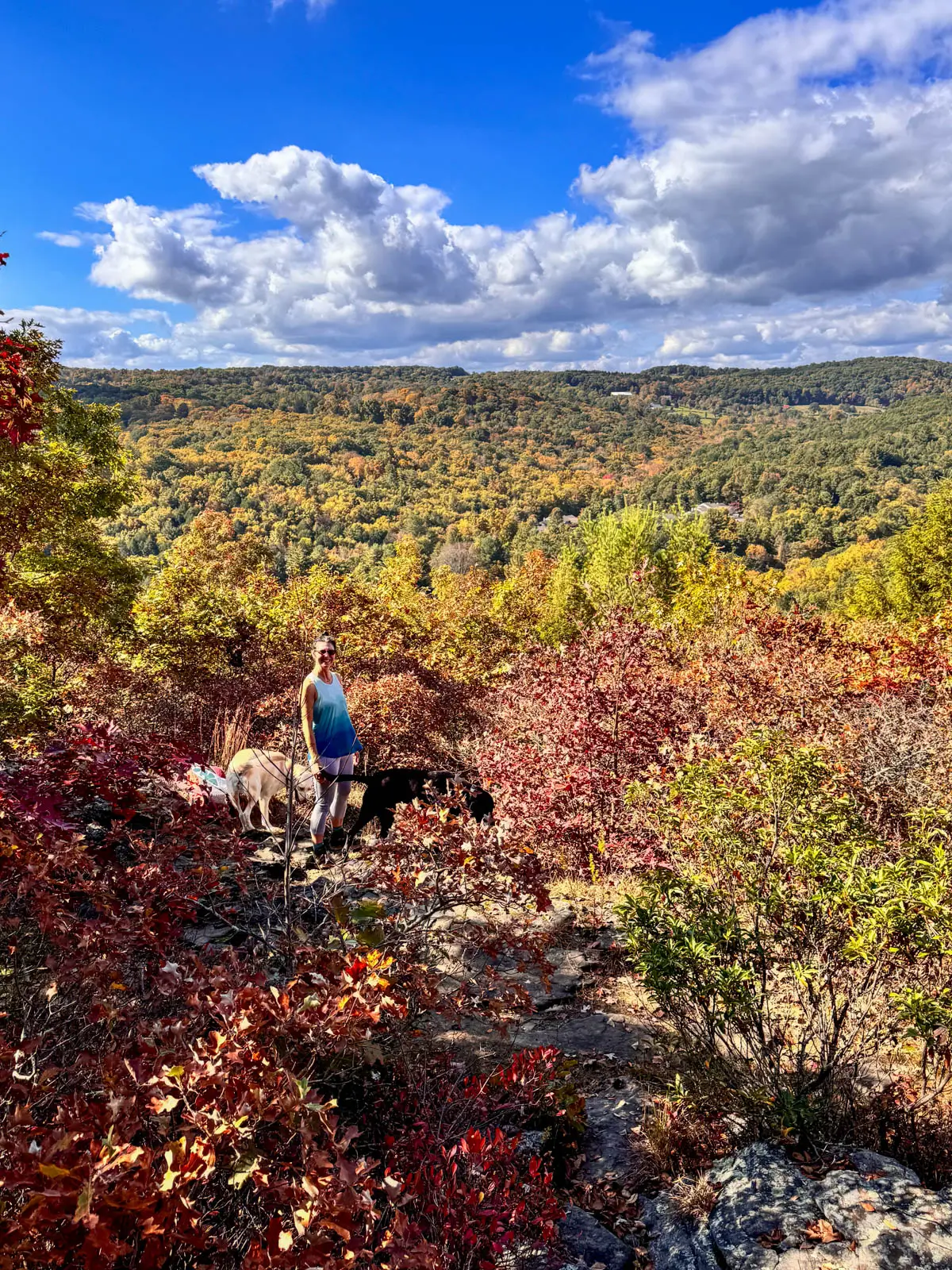 woman in blue tank top atop a hike in washington ct with a backdrop of green, orange, and yellow trees behind her and a blue sky with white clouds above.