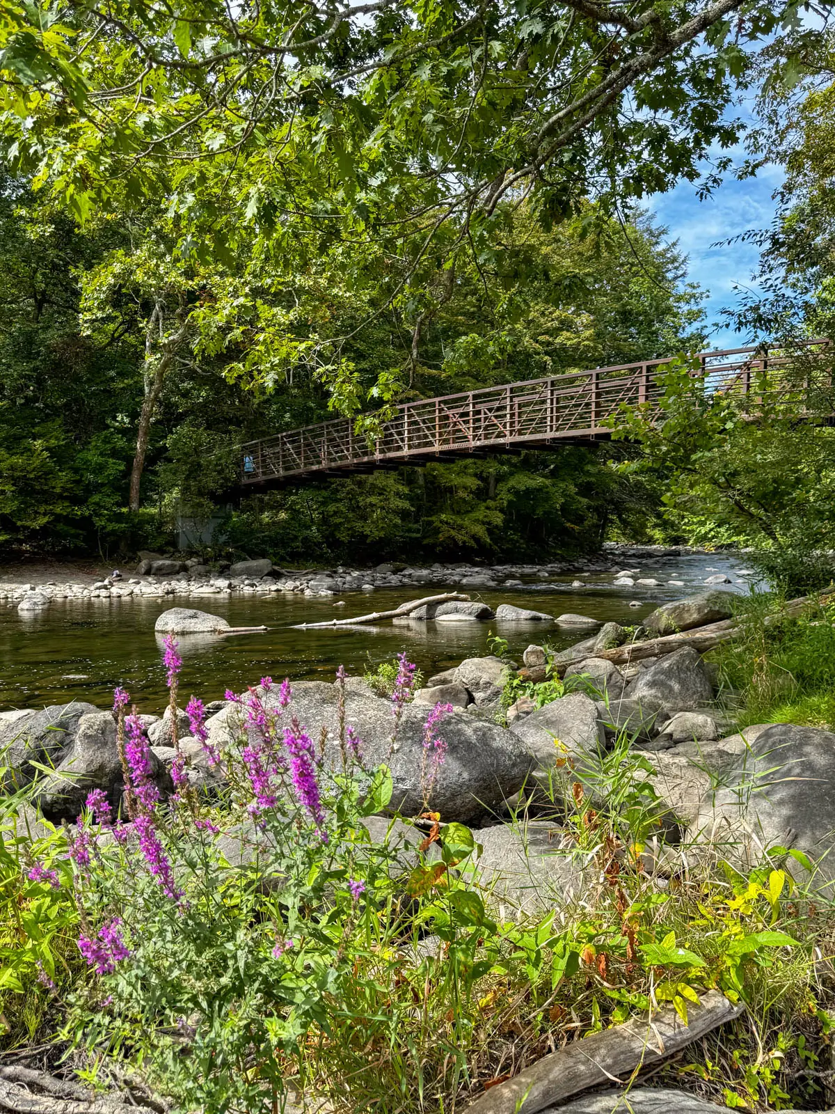 bridge in kent arching over a river with river stones popping up and framed in green leaves.
